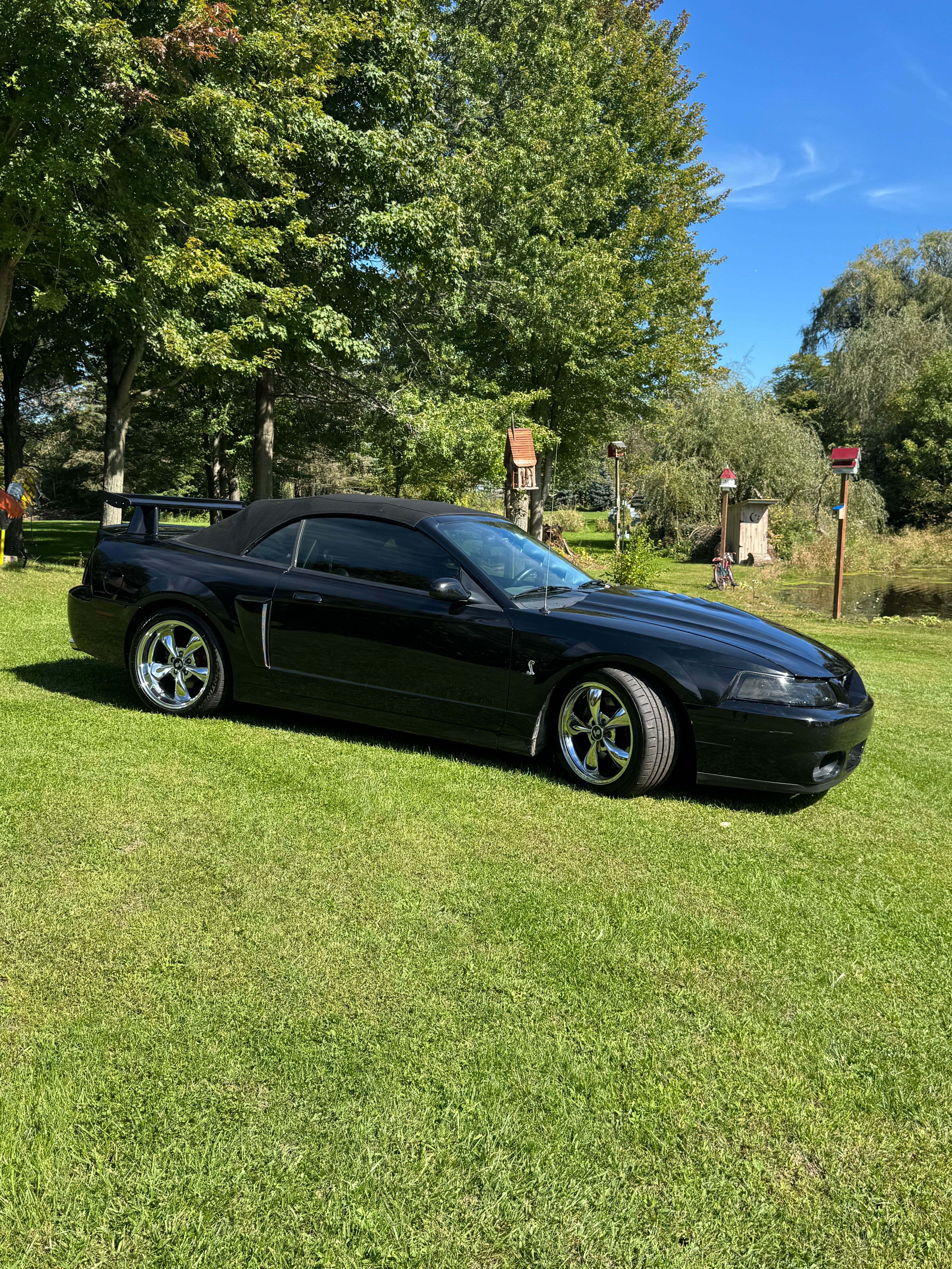Used 2004 Ford Mustang Cobra RWD image 16