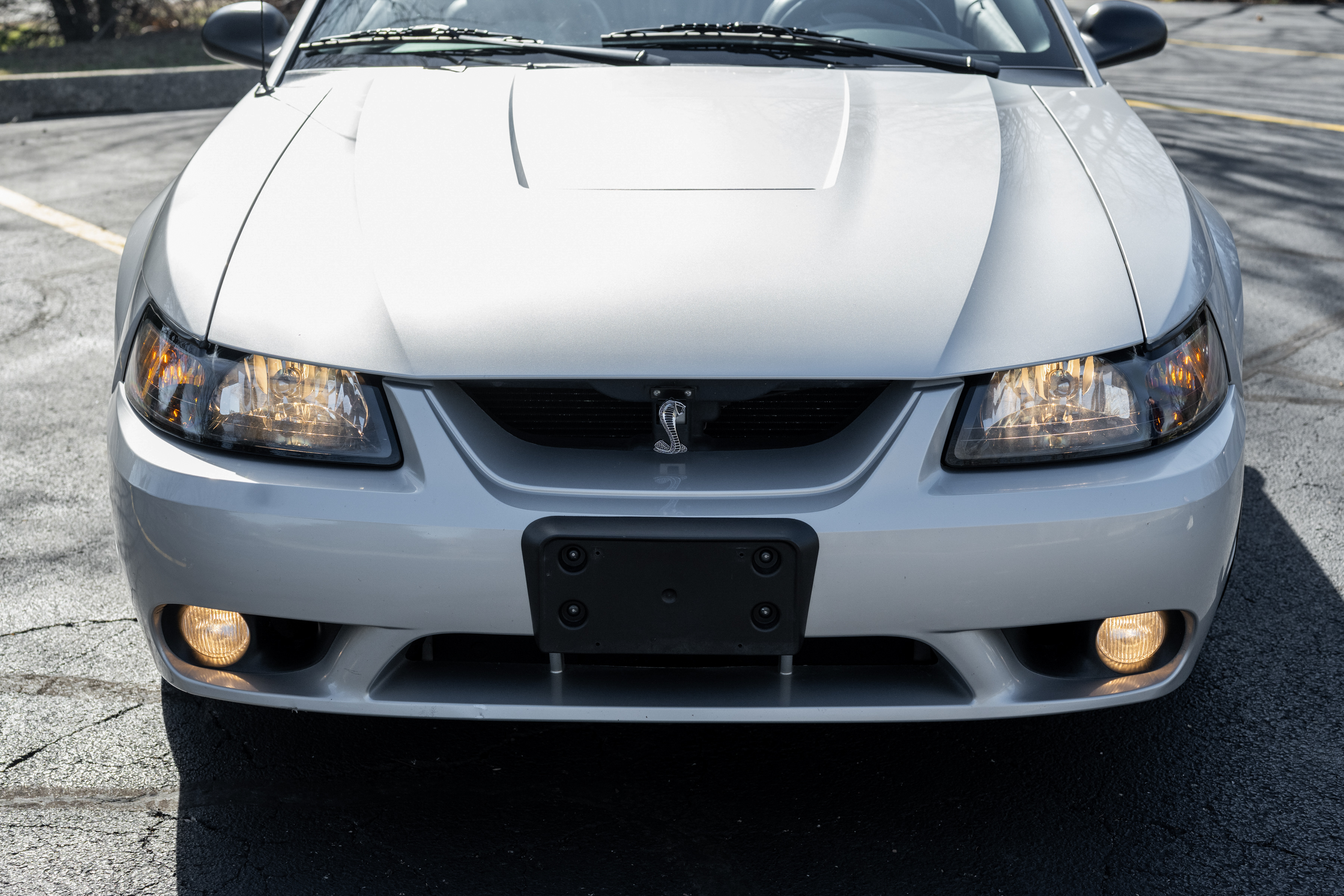 Used 2001 Ford Mustang Cobra RWD image 17