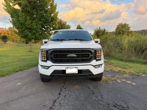Used 2023 Ford F150 XLT w/ Equipment Group 302A High AWD/4WD image 2