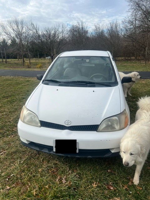Used 2001 Toyota Echo Coupe w/ All Weather Guard Pkg FWD image 2