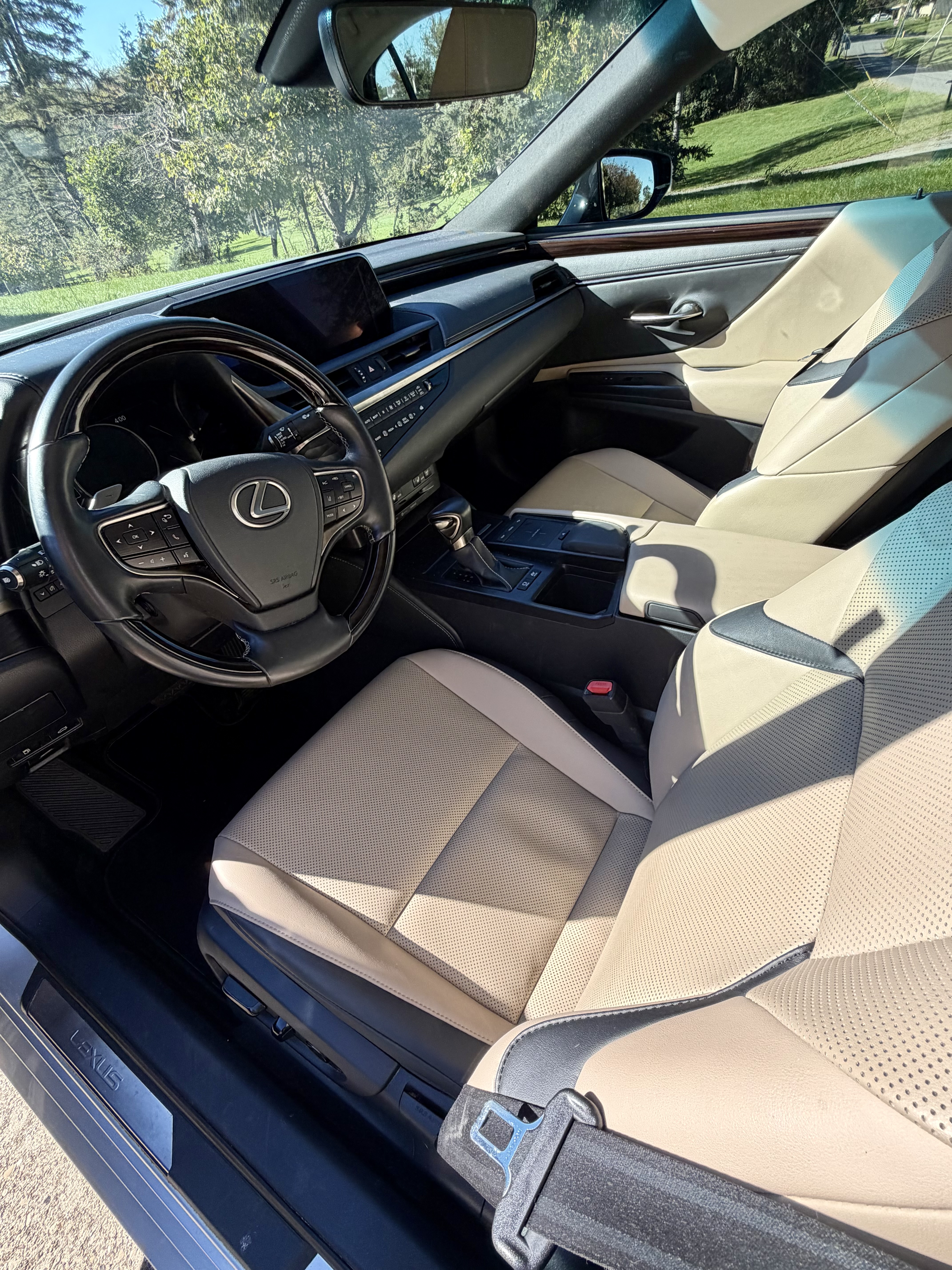 Used 2019 Lexus ES 300h FWD image 8