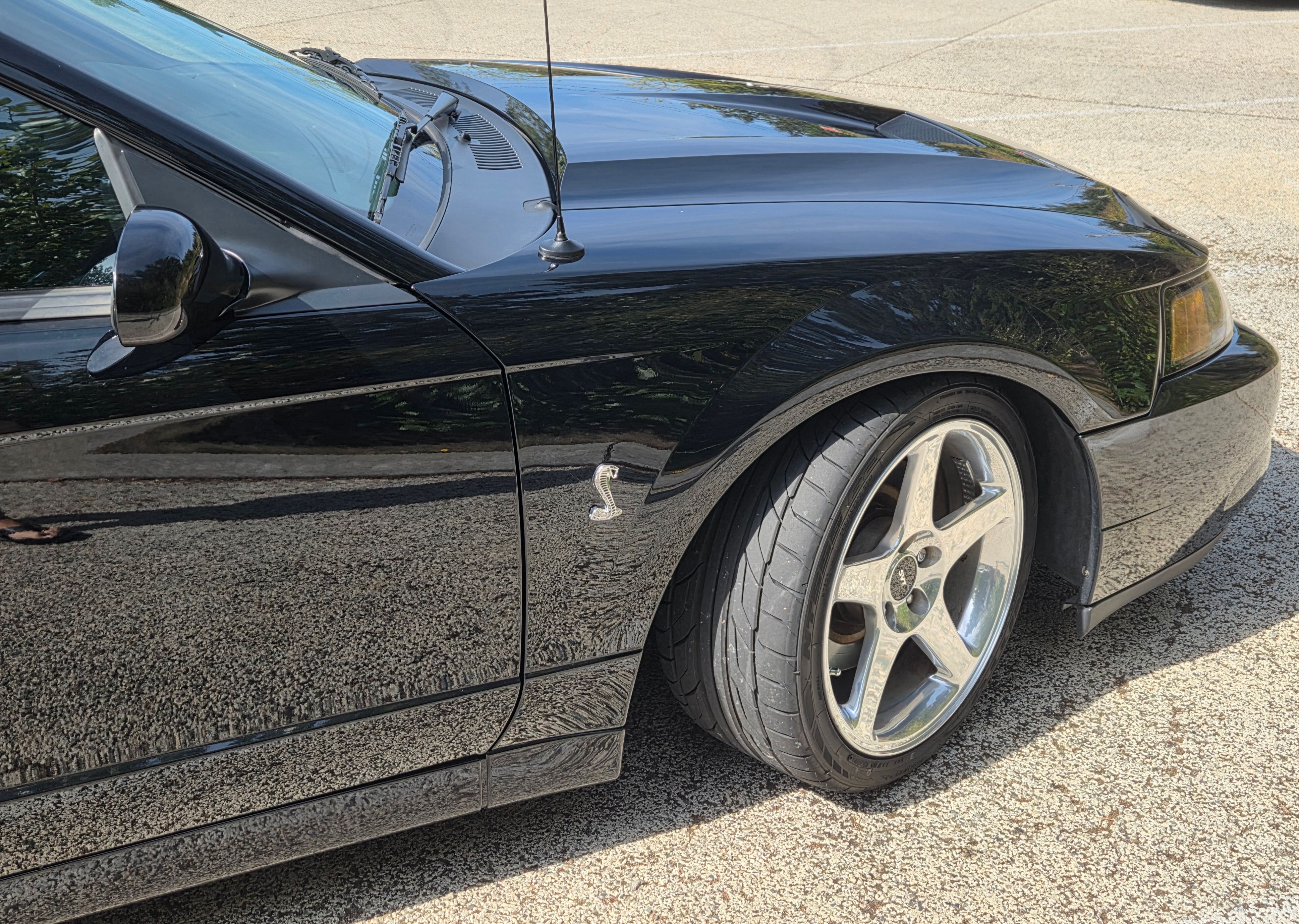 Used 2003 Ford Mustang Cobra RWD image 5