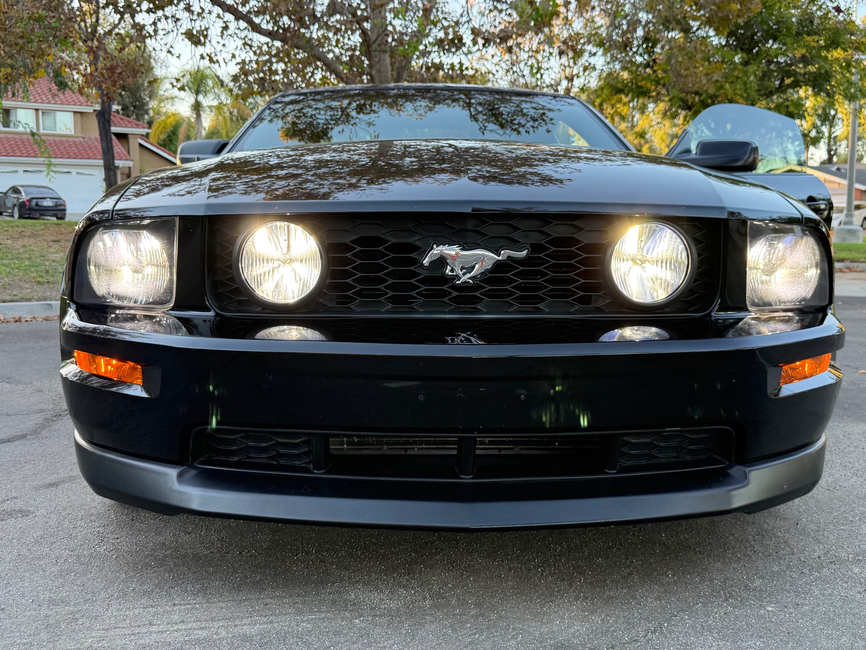 Used 2006 Ford Mustang GT Premium RWD image 9
