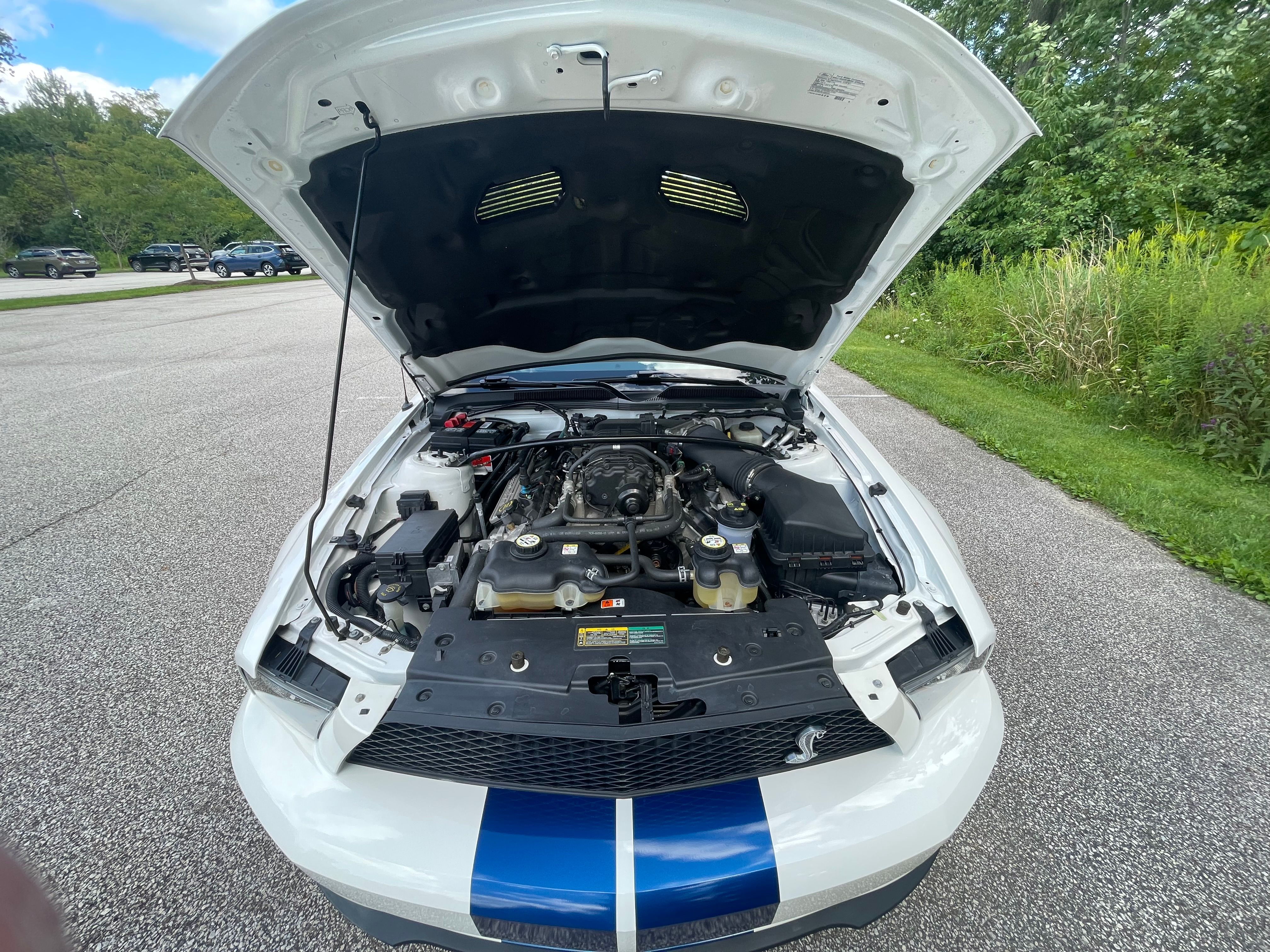Used 2008 Ford Mustang Shelby GT500 RWD image 10