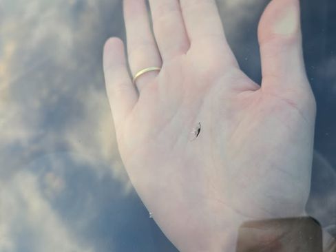 Used 2014 BMW 428i Coupe image 22