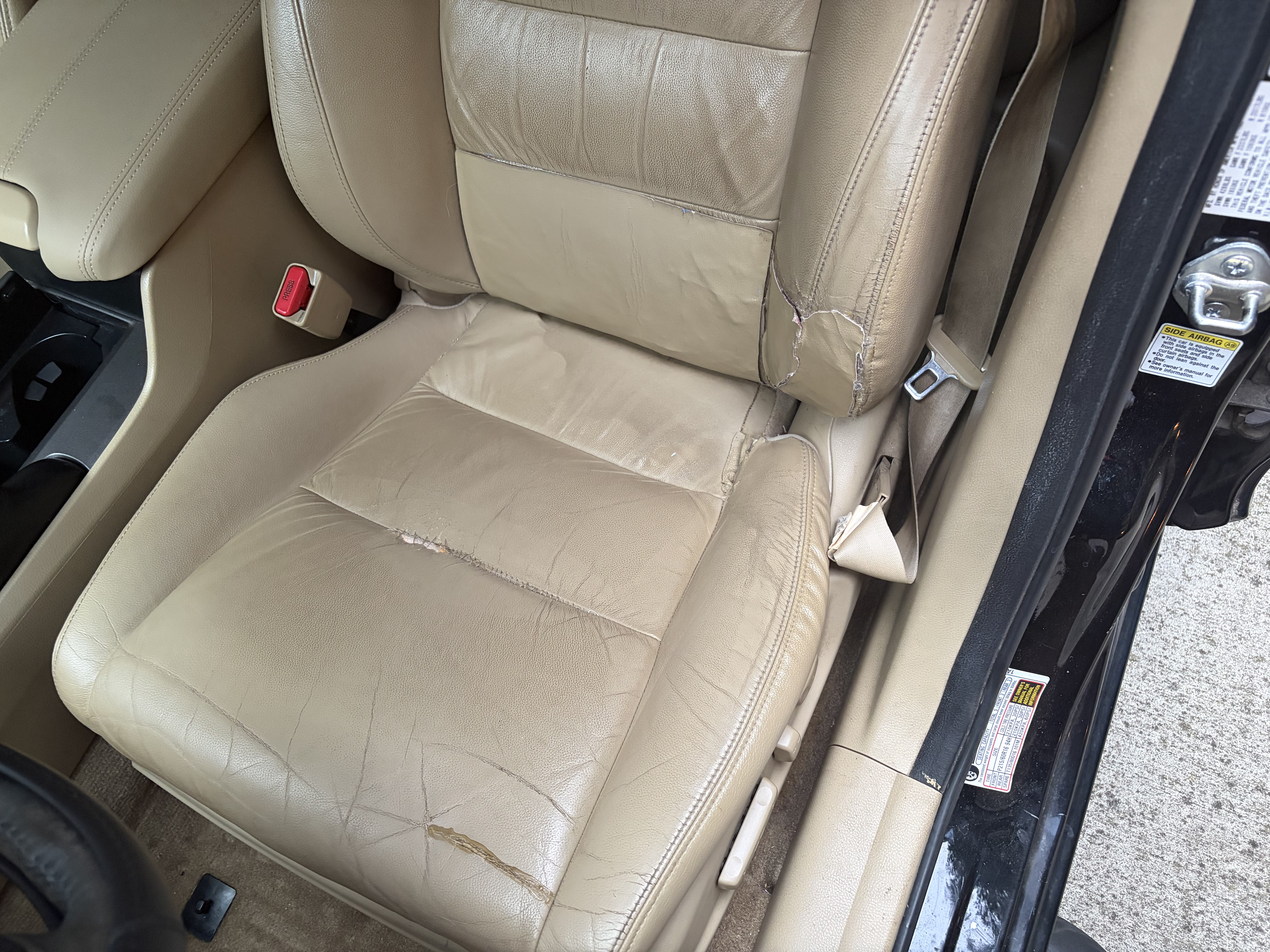Used 2012 Honda Accord SE image 13