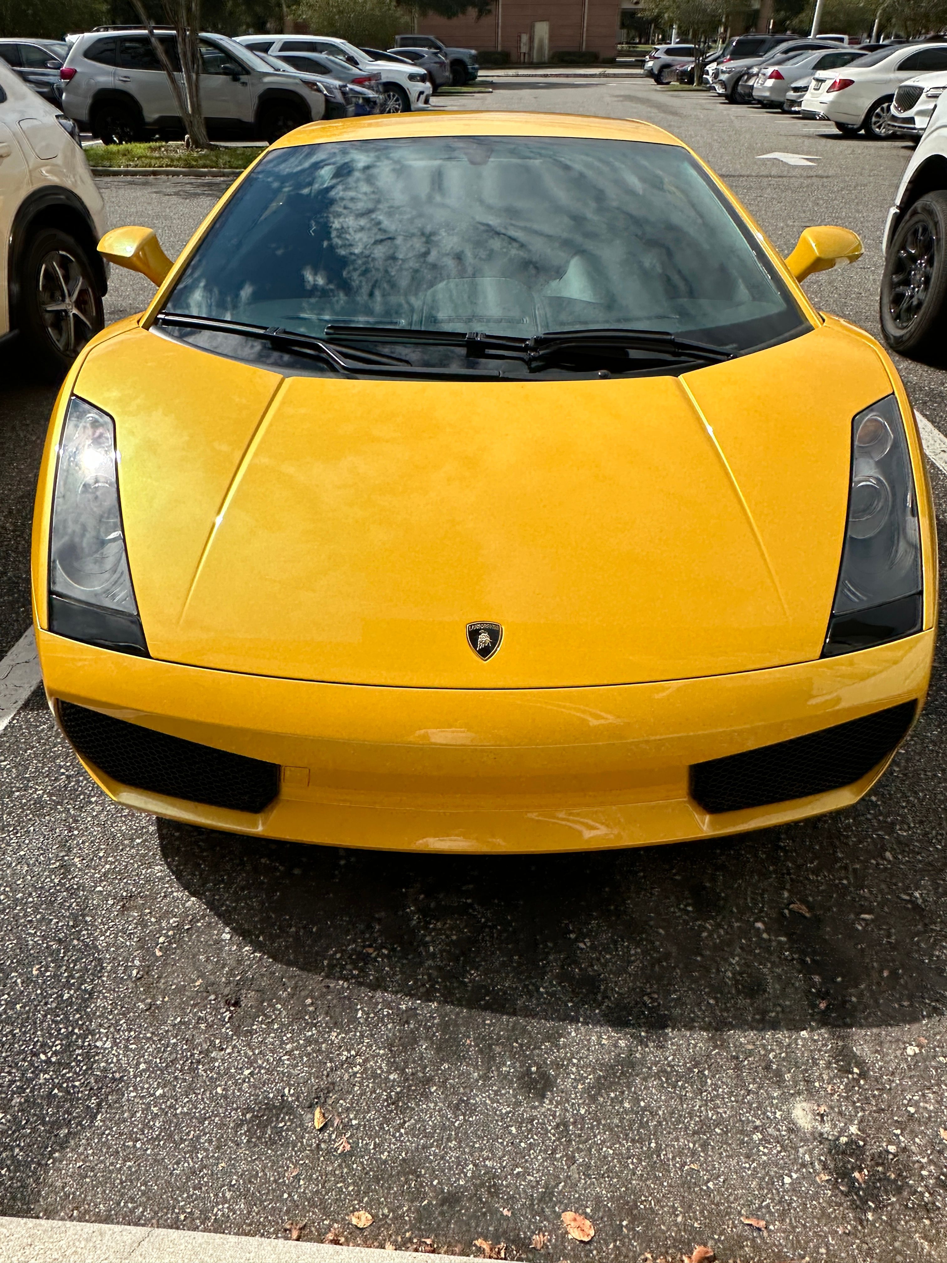 Used 2007 Lamborghini Gallardo AWD/4WD image 2