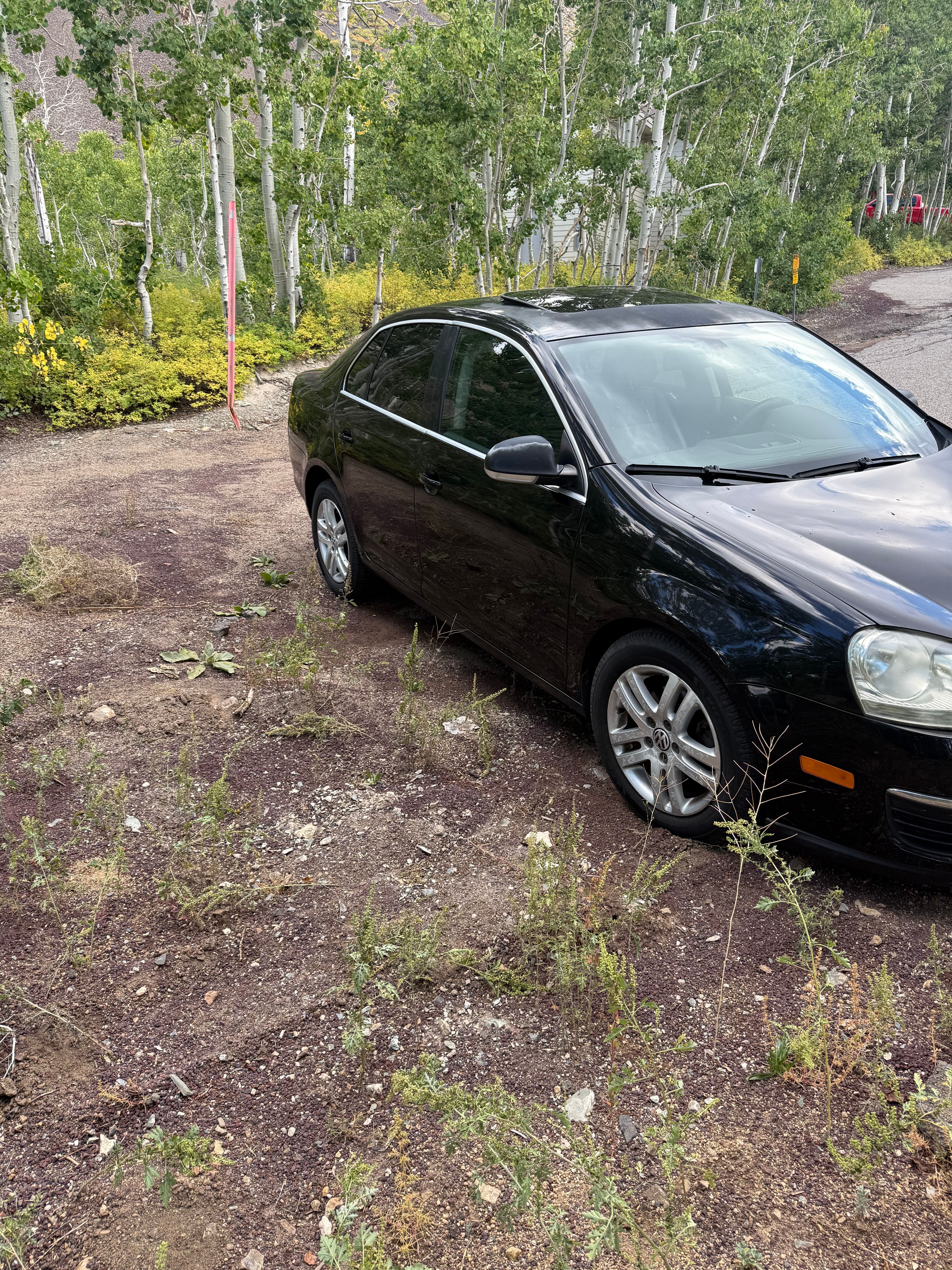 Used 2005 Volkswagen Jetta TDI FWD image 4