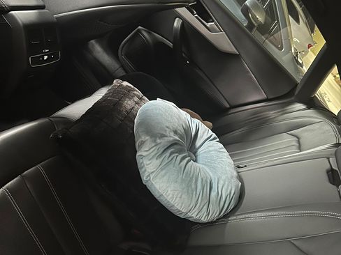 Used 2023 Audi A5 2.0T Premium Plus image 2