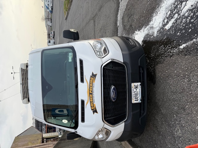 Used 2021 Ford Transit 250 Medium Roof w/ Exterior Upgrade Package RWD image 4