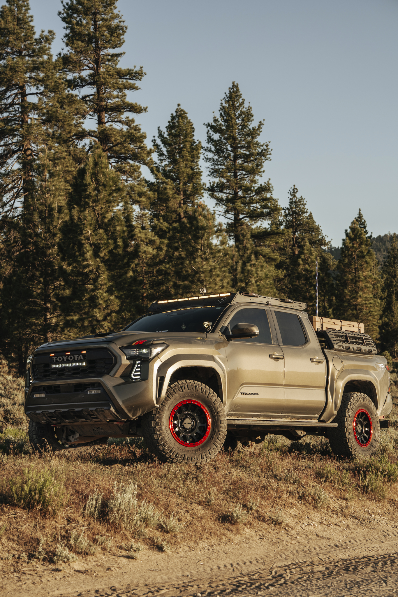 Used 2024 Toyota Tacoma TRD Sport w/ TRD Sport Premium Package AWD/4WD image 13
