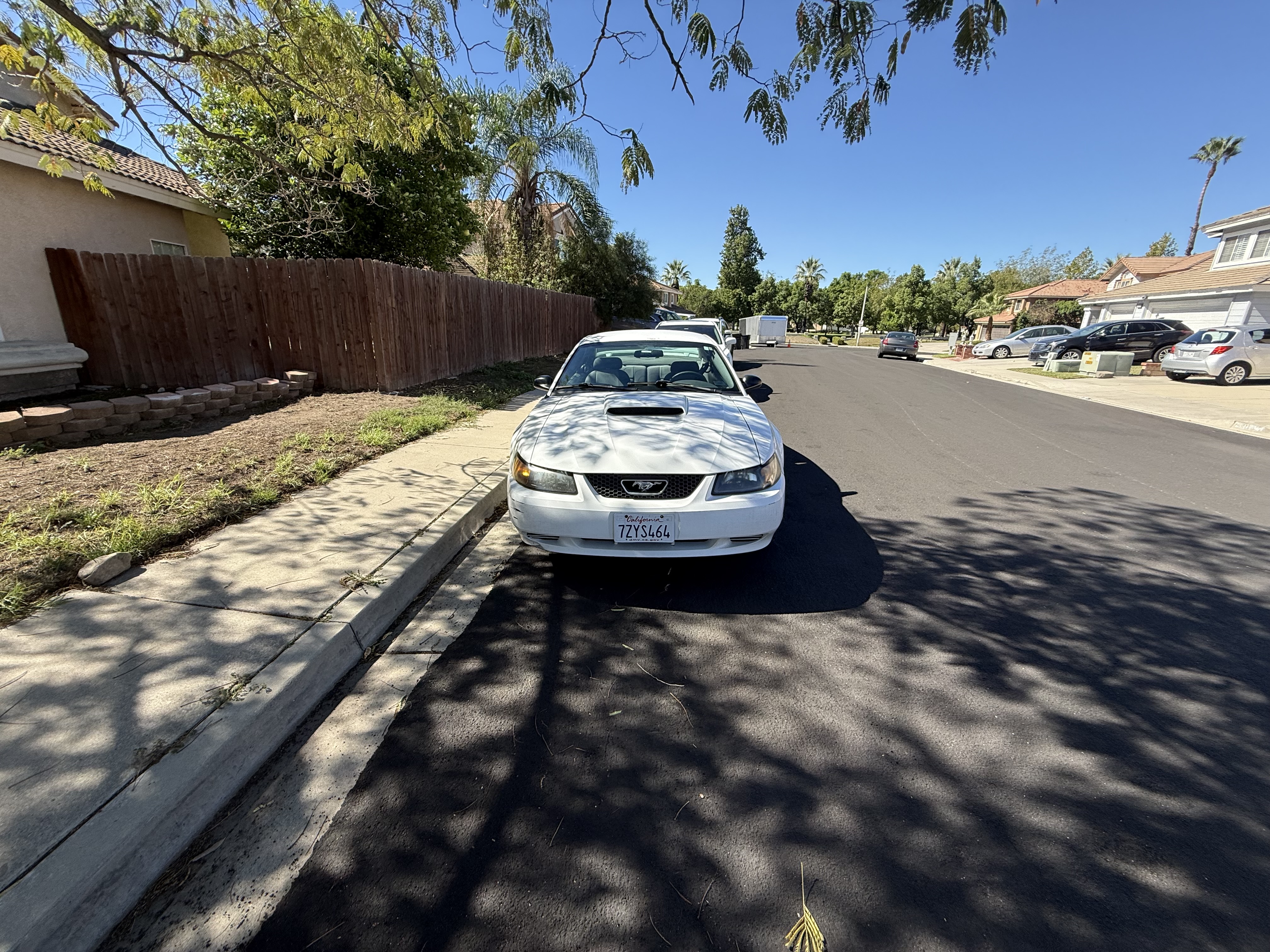 Used 2004 Ford Mustang Coupe RWD image 2
