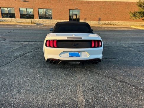 Used 2020 Ford Mustang GT Premium w/ Equipment Group 401A image 4