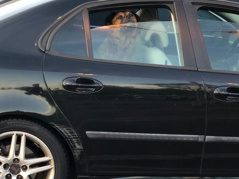 Used 2007 Saab 9-3 2.0T w/ Premium 17 Pkg image 6