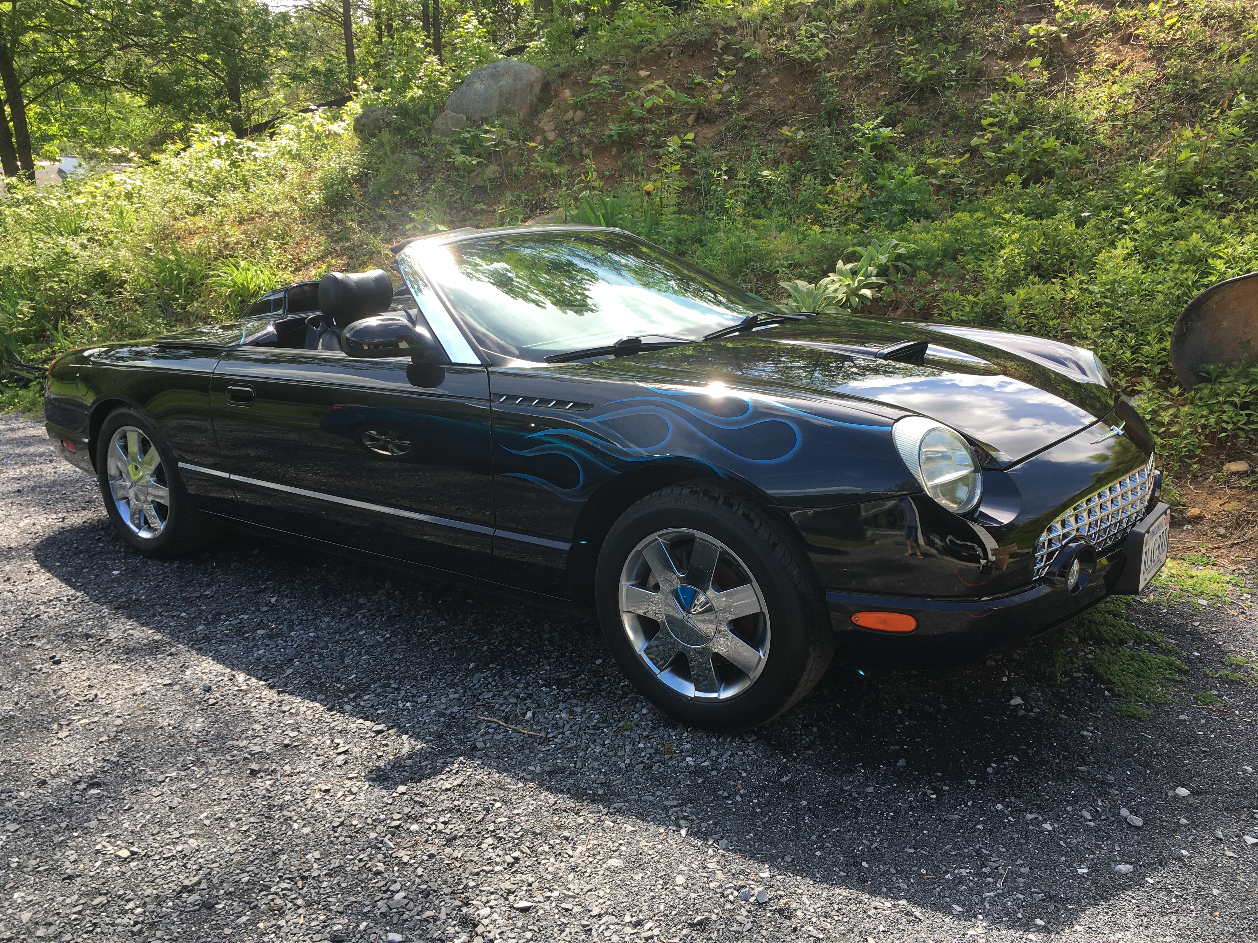 Used 2003 Ford Thunderbird RWD image 1
