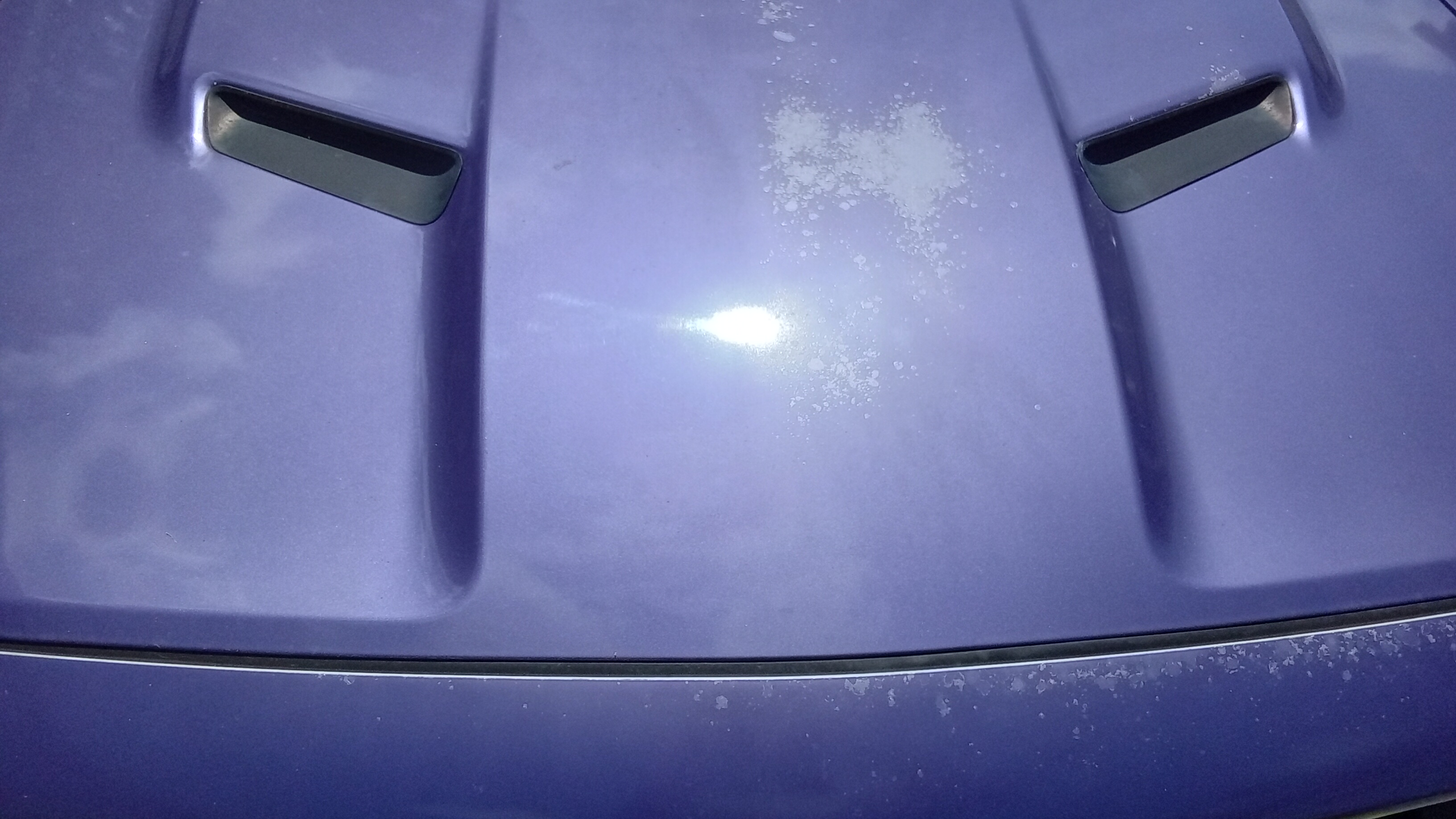 Used 2016 Dodge Challenger SXT Plus RWD image 6