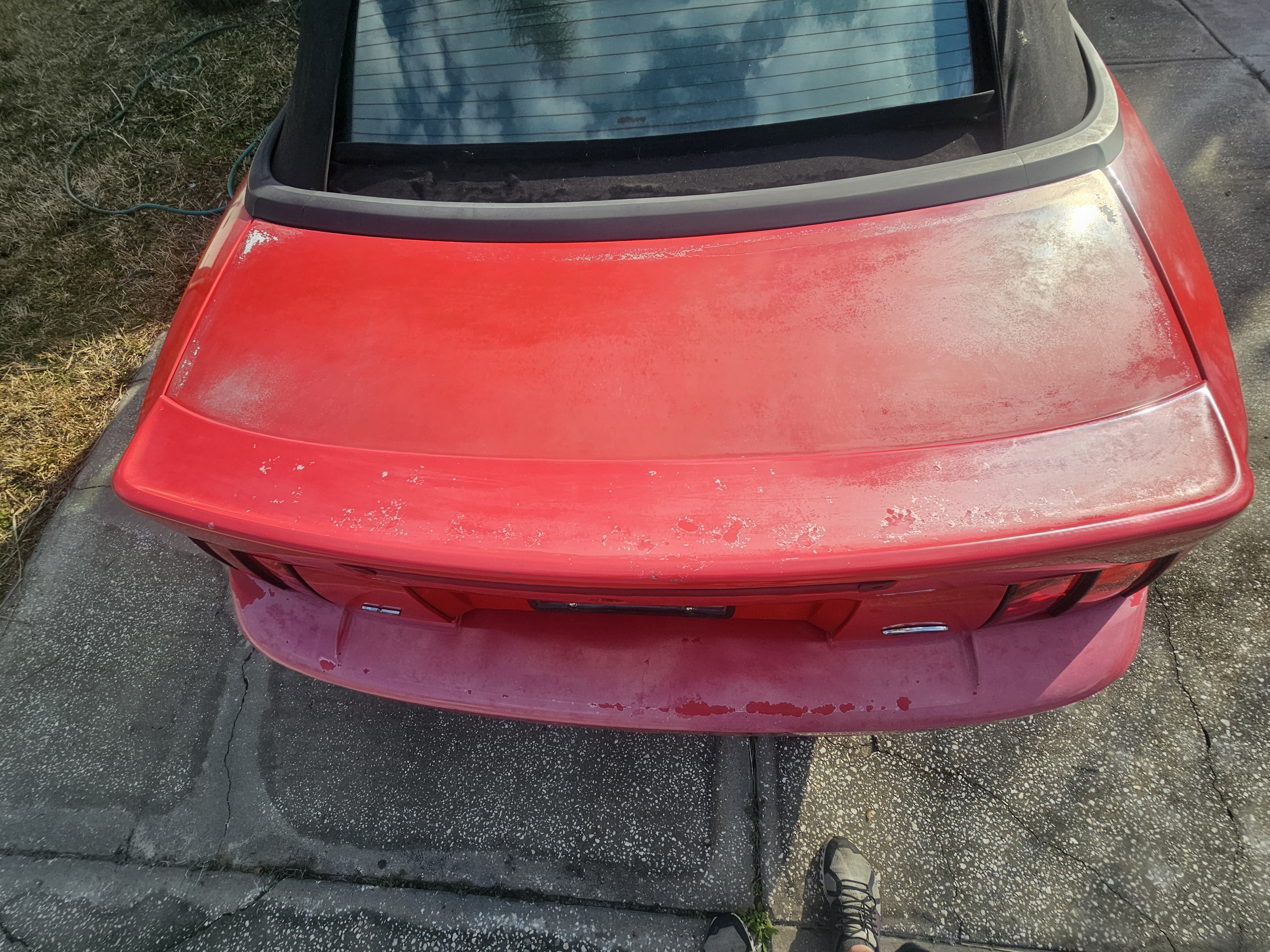 Used 2003 Ford Mustang Cobra RWD image 13