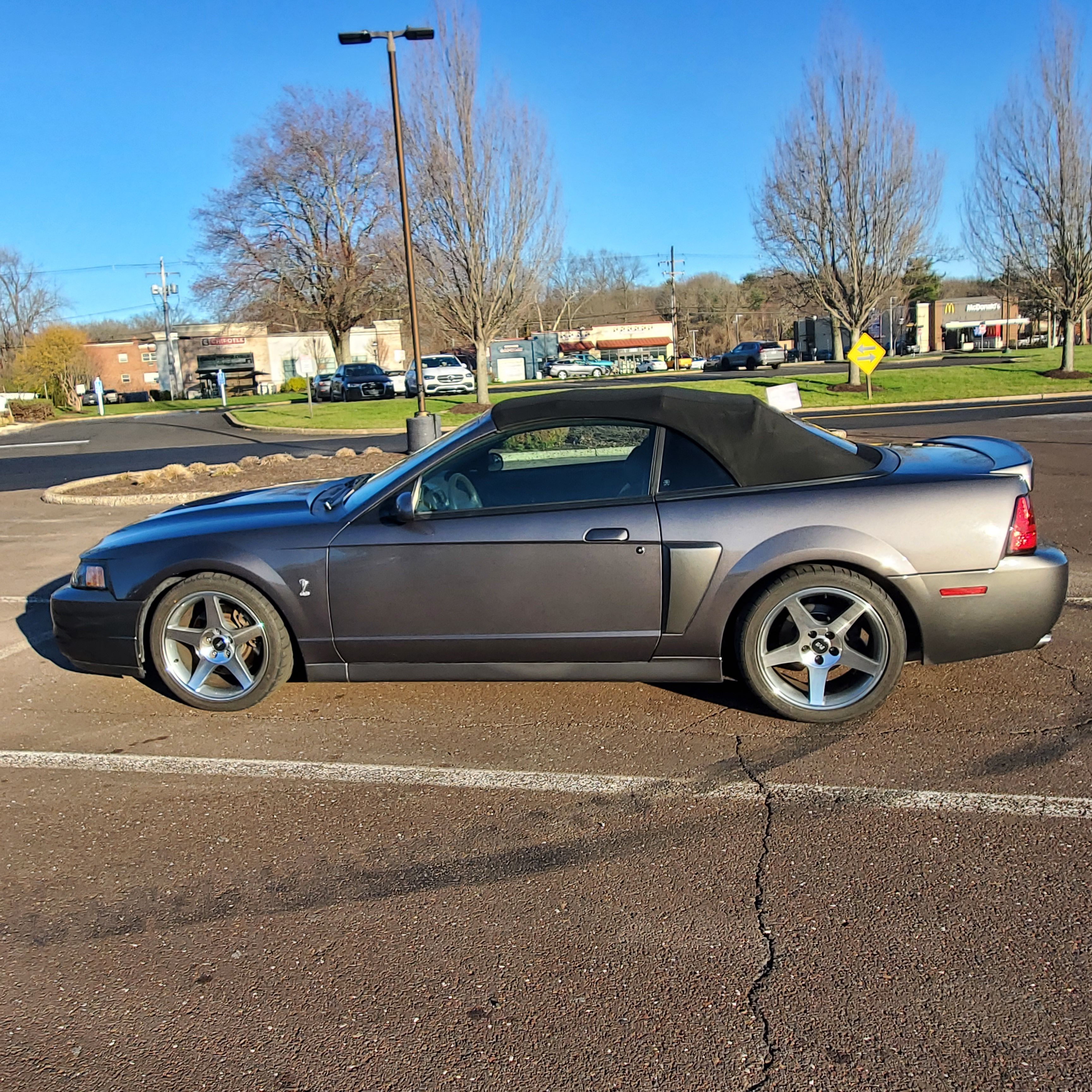 Used 2003 Ford Mustang Cobra RWD image 1