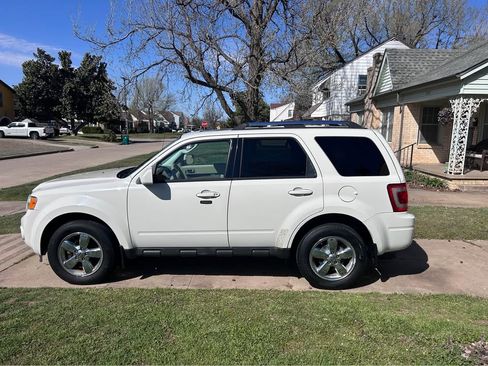 Used 2011 Ford Escape Limited w/ 302A Rapid Spec Order Code image 13