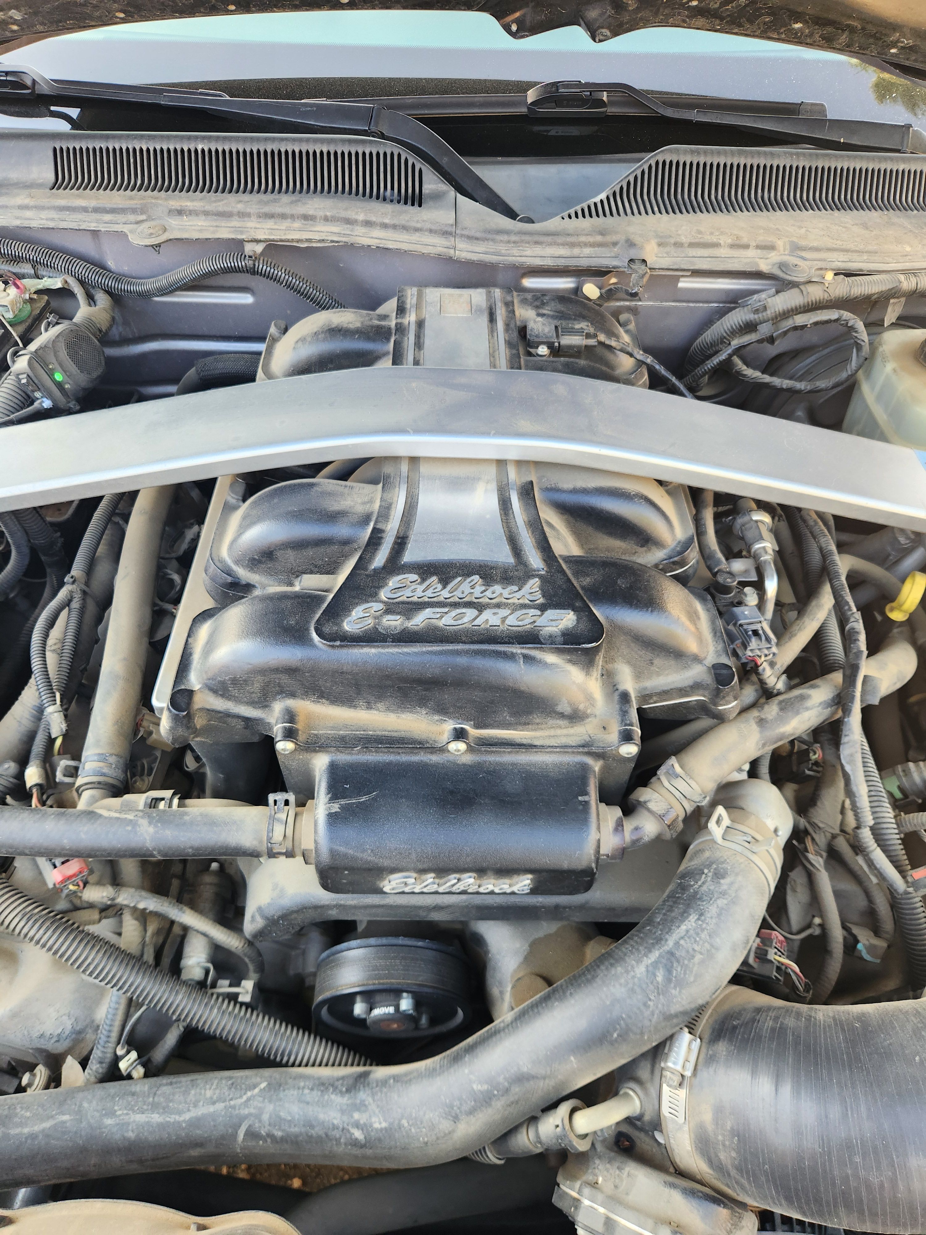 Used 2006 Ford Mustang GT RWD image 11