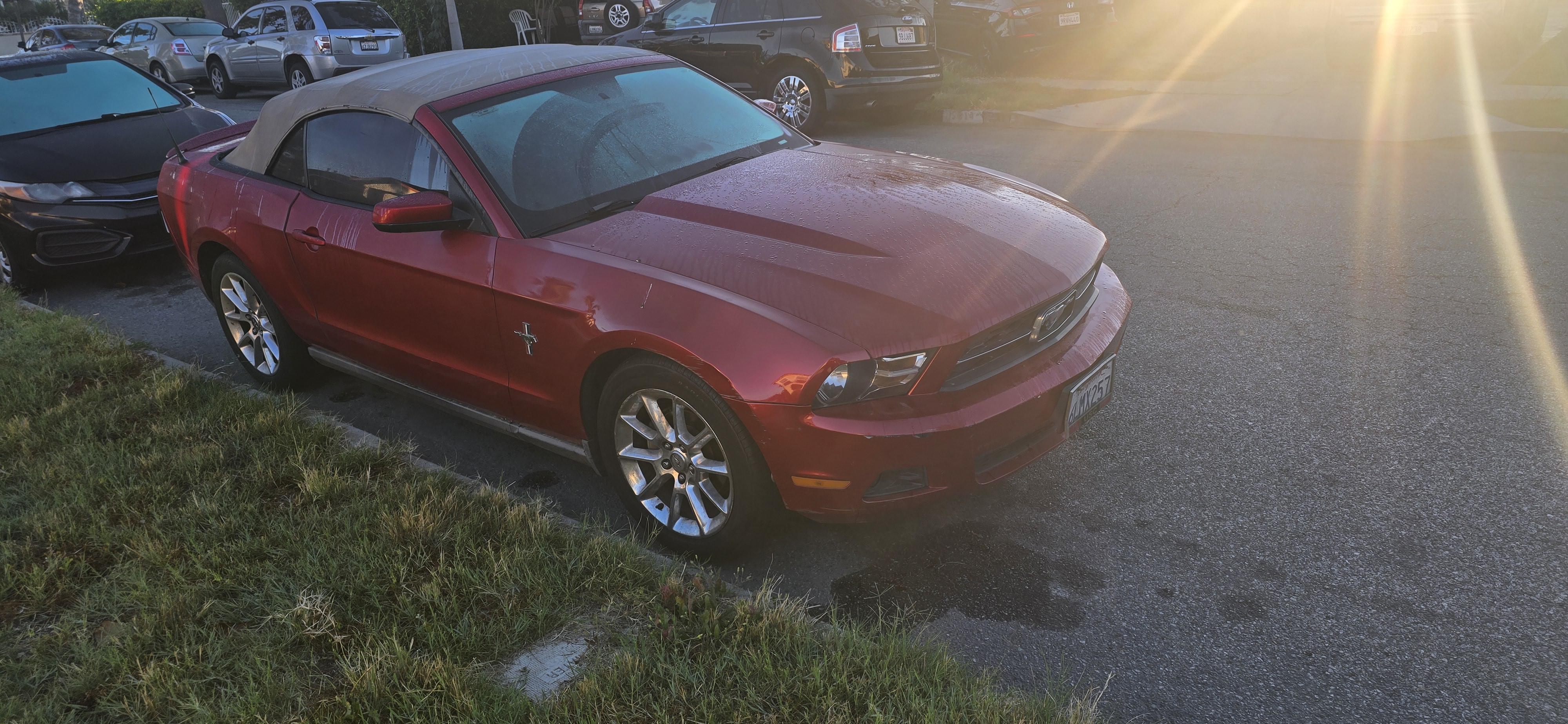 Used 2010 Ford Mustang Convertible RWD image 5