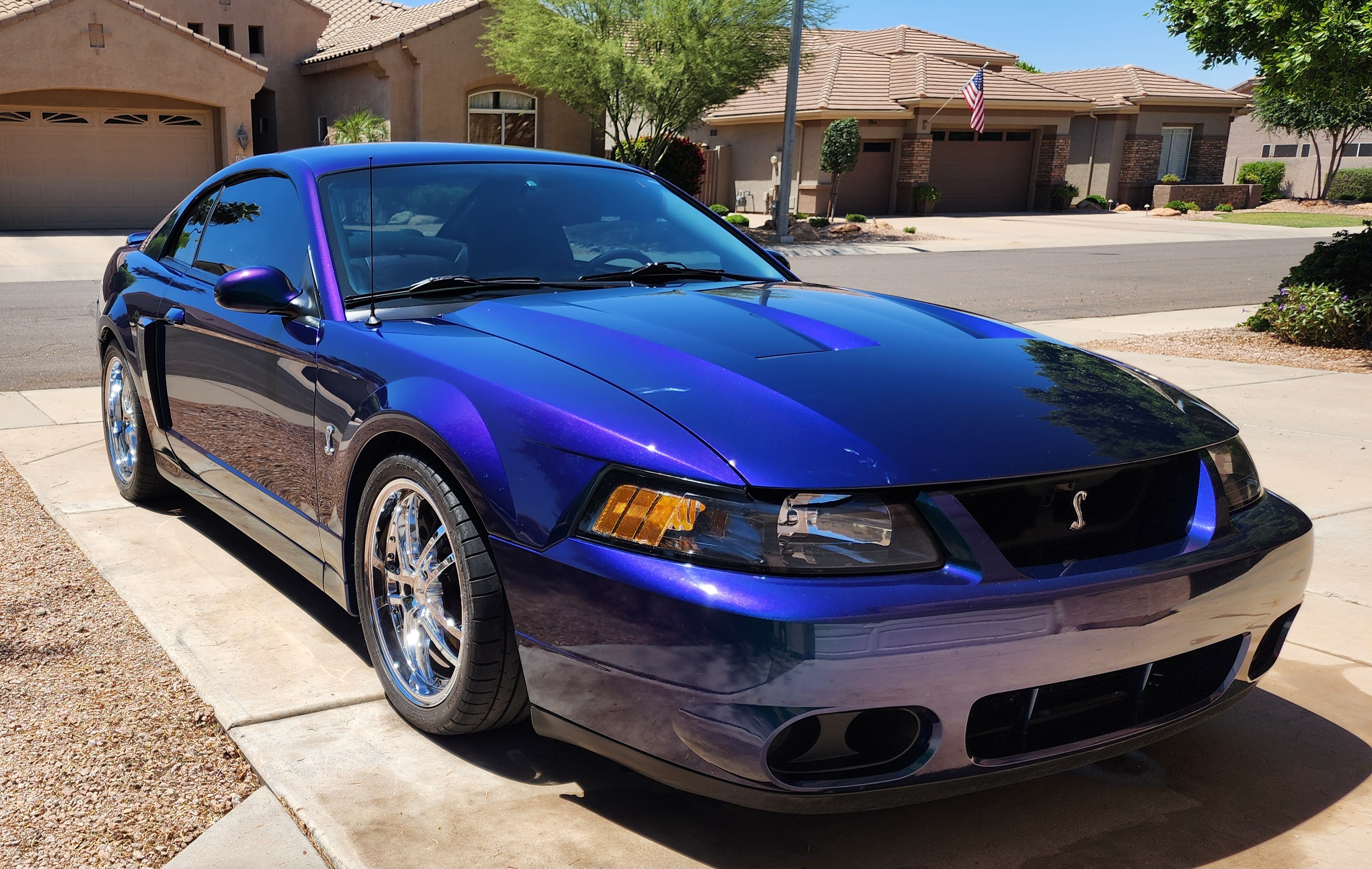 Used 2004 Ford Mustang Cobra RWD image 14