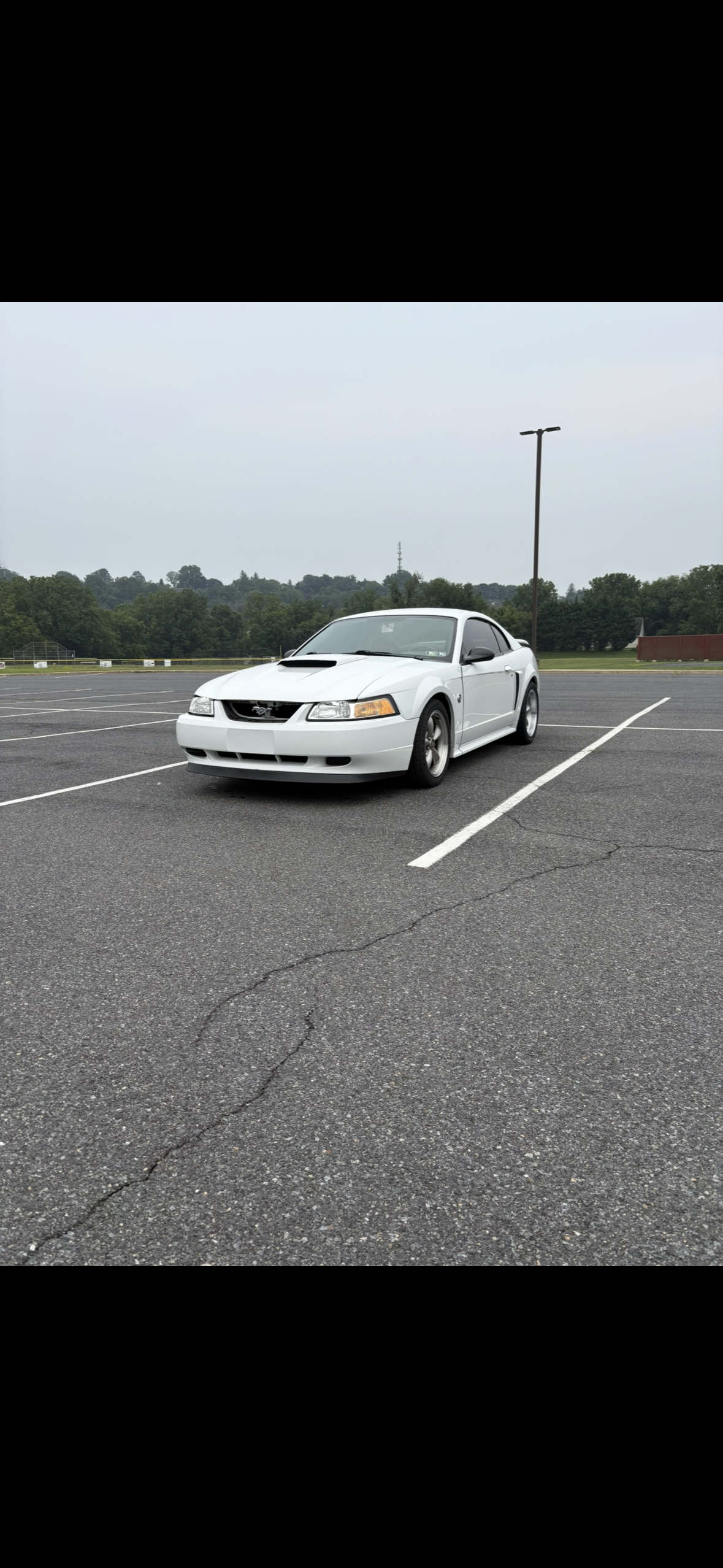 Used 2004 Ford Mustang GT Premium RWD image 1