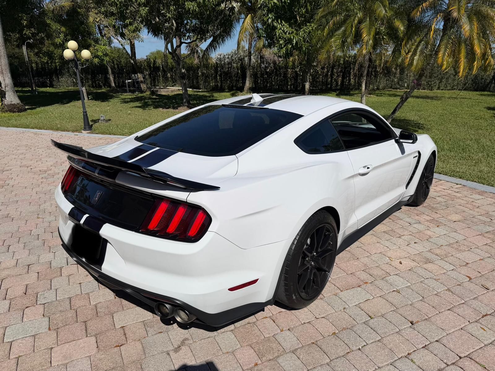 Used 2020 Ford Mustang Shelby GT350 w/ Technology Package RWD image 5