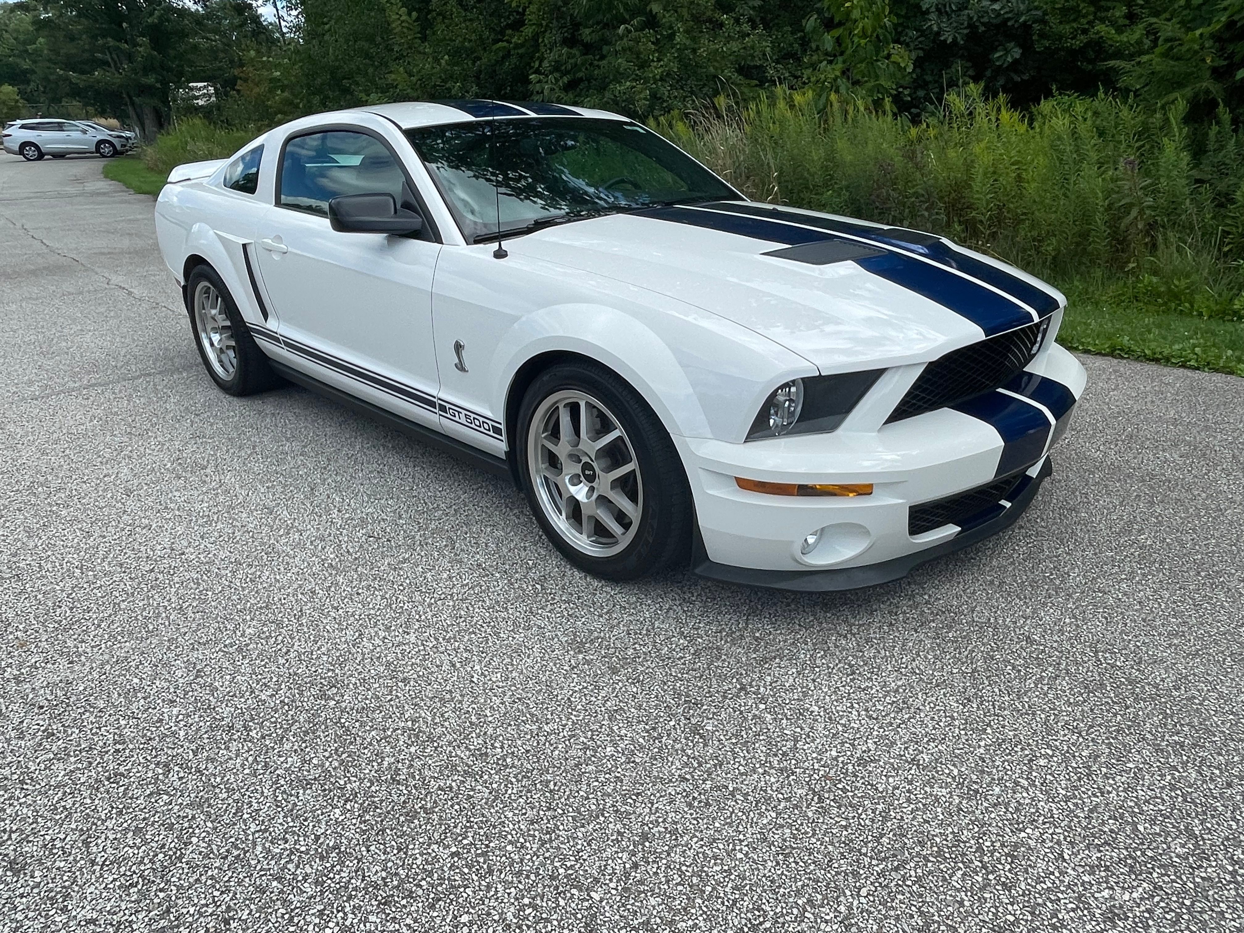 Used 2008 Ford Mustang Shelby GT500 RWD image 6