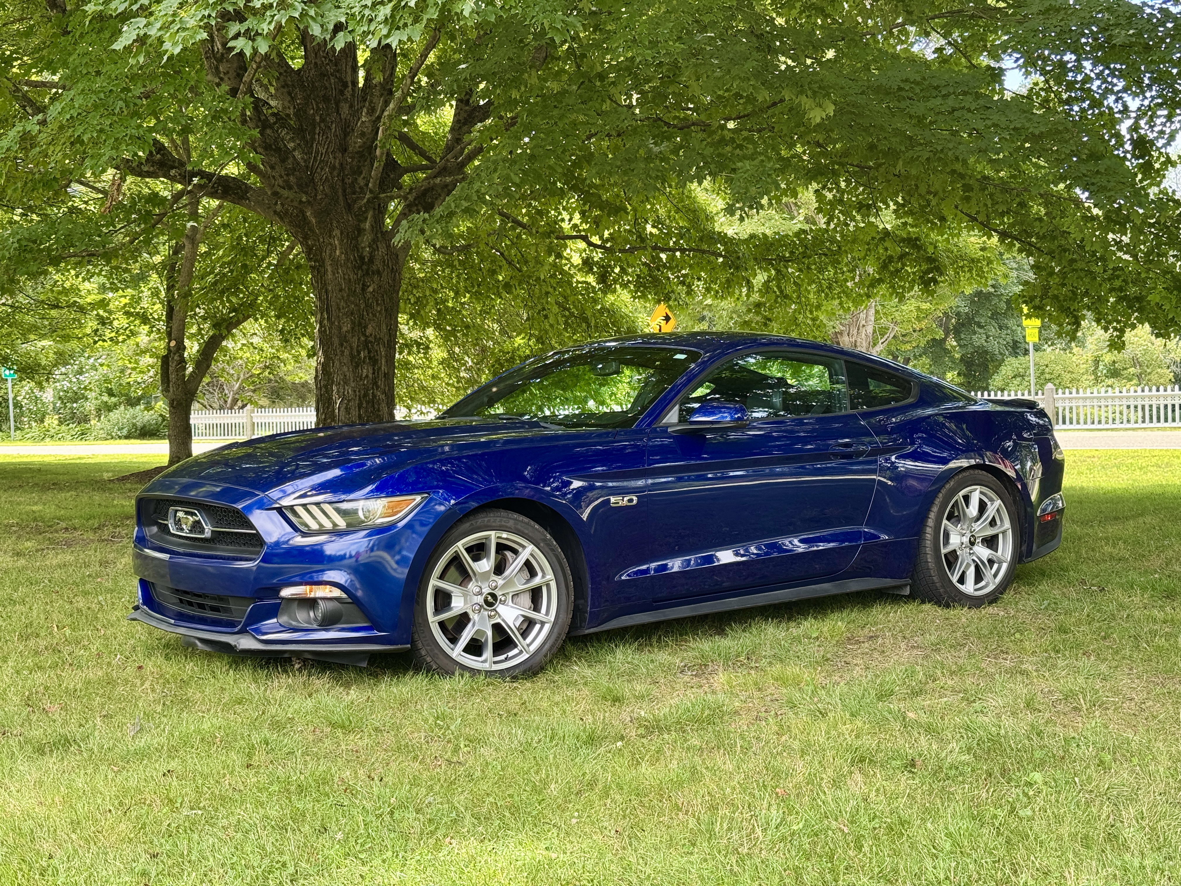 Used 2015 Ford Mustang GT Premium w/ Equipment Group 401A RWD image 1