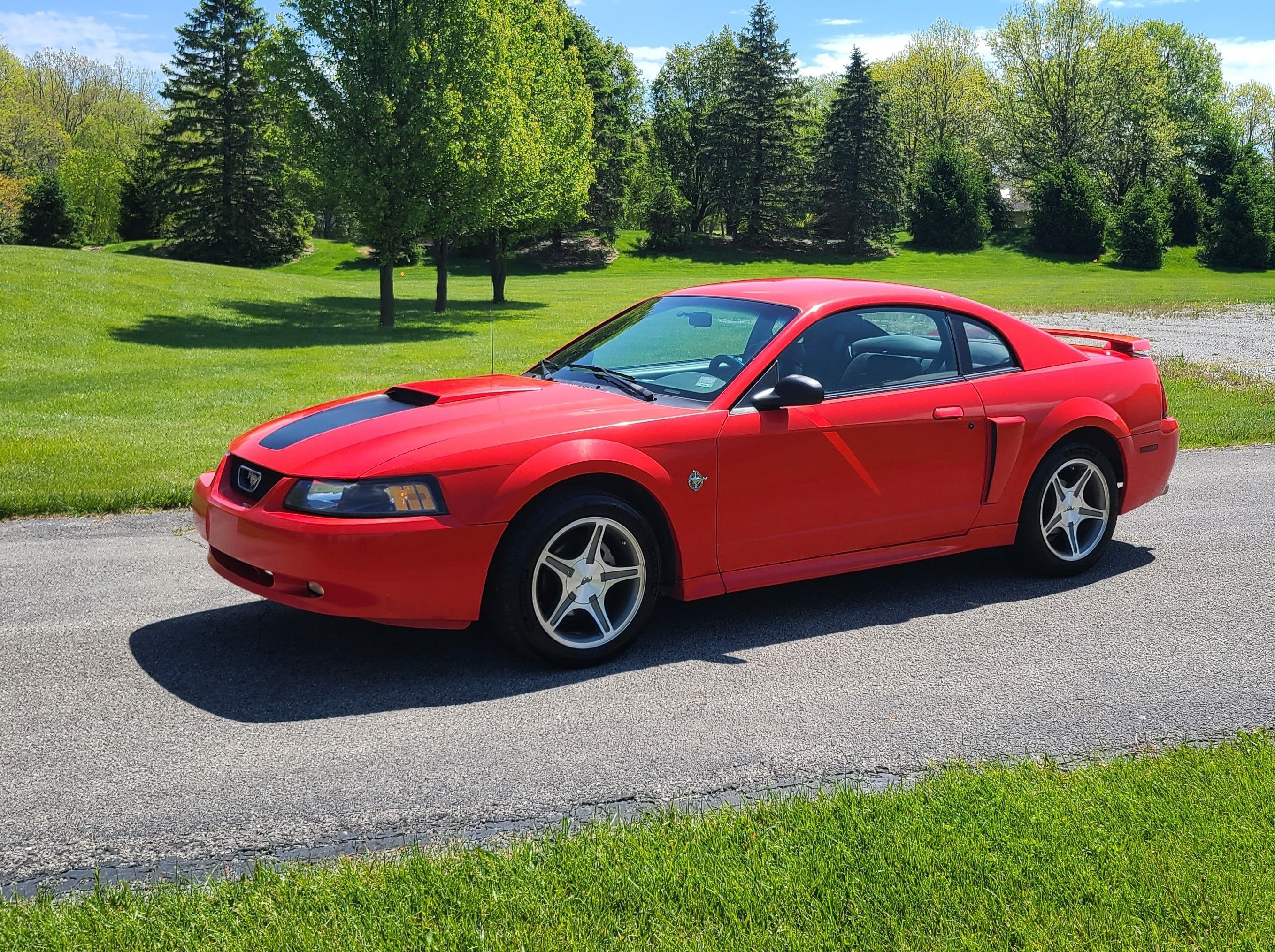 Used 1999 Ford Mustang GT RWD image 2
