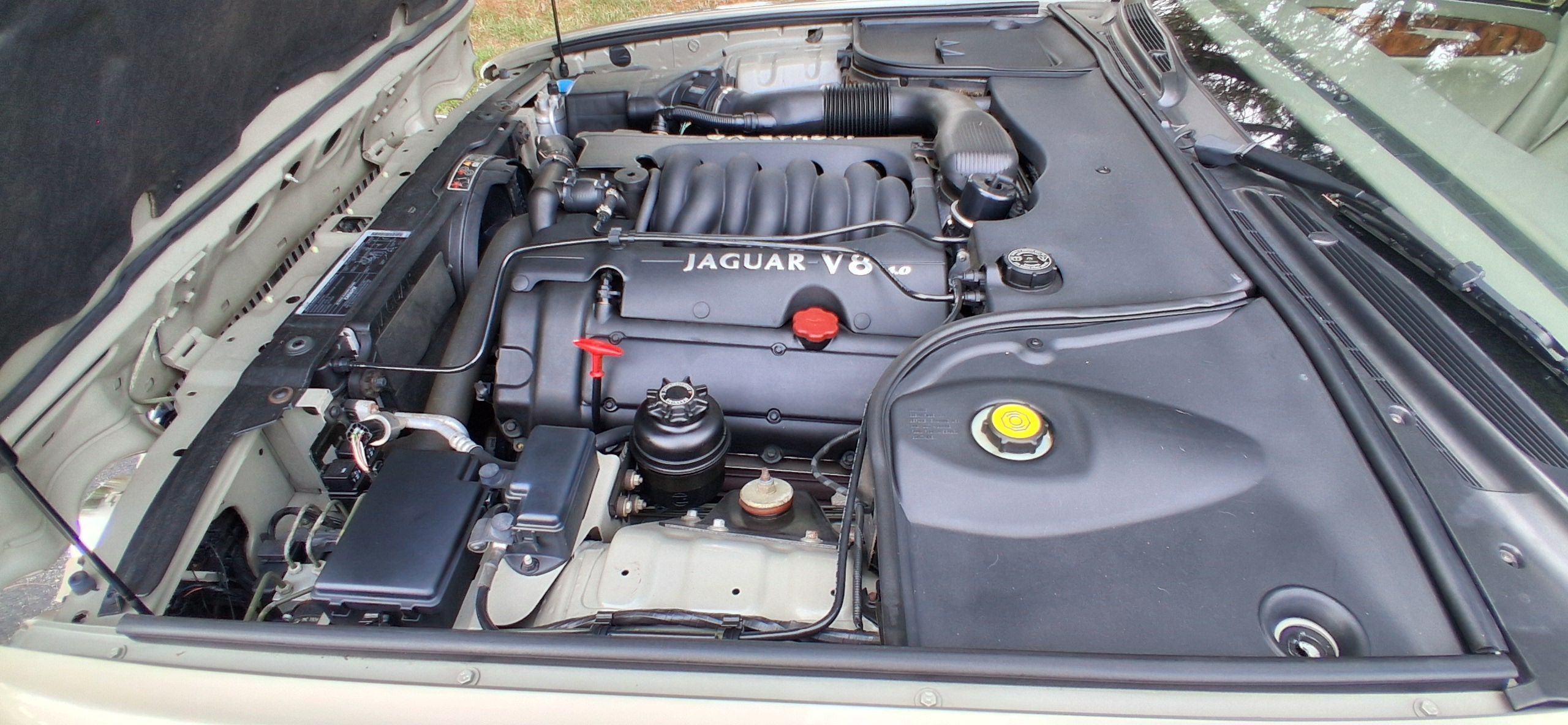 Used 1998 Jaguar XJ8 RWD image 18