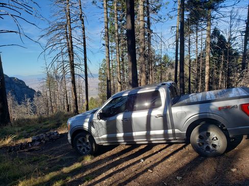 Used 2021 Ford F150 Platinum w/ Equipment Group 701A High image 6