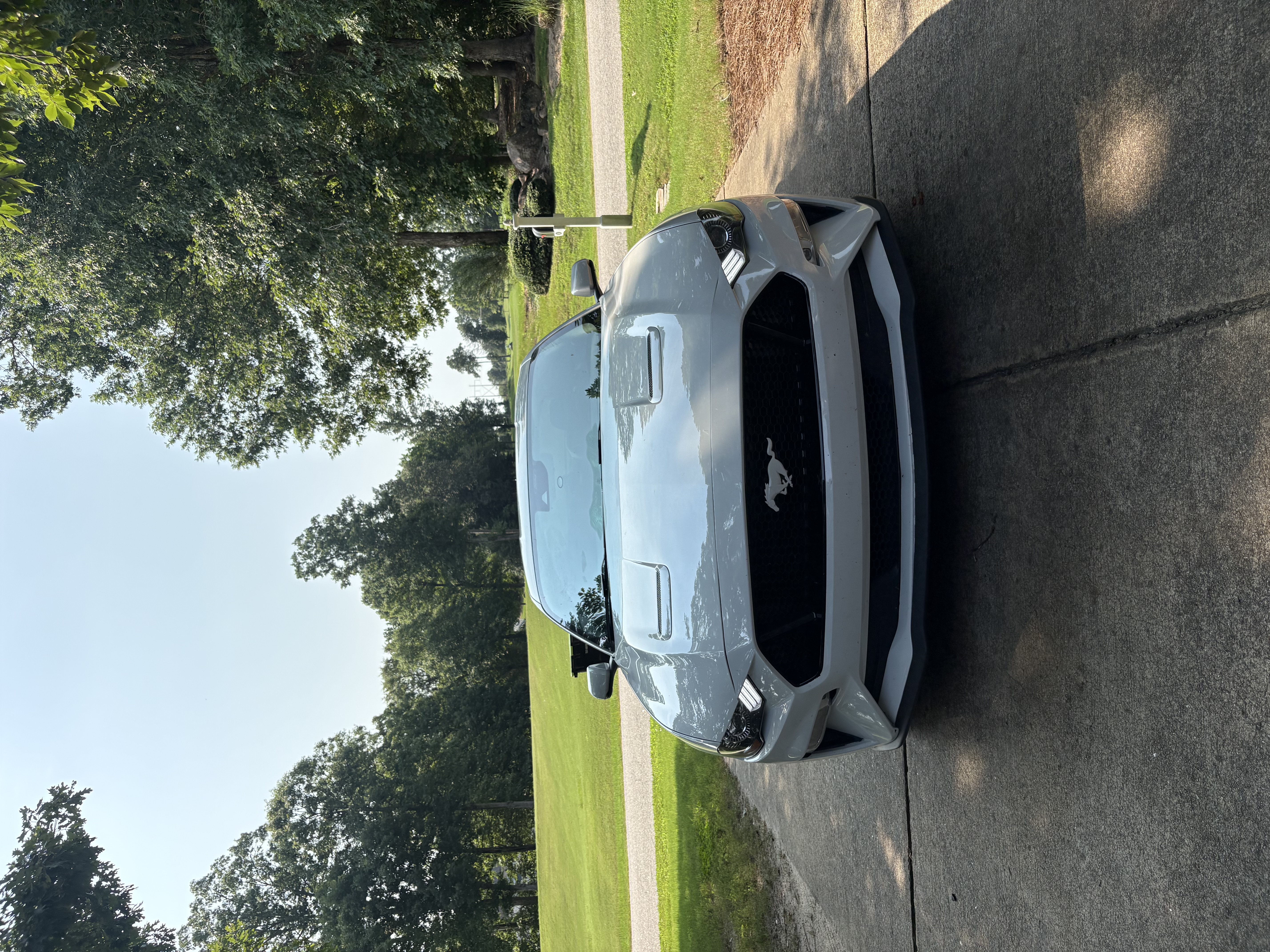 Used 2022 Ford Mustang GT Premium w/ Equipment Group 401A RWD image 1