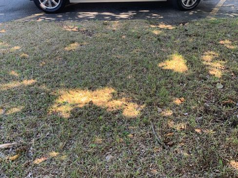 Used 2009 Buick LaCrosse CXL image 4