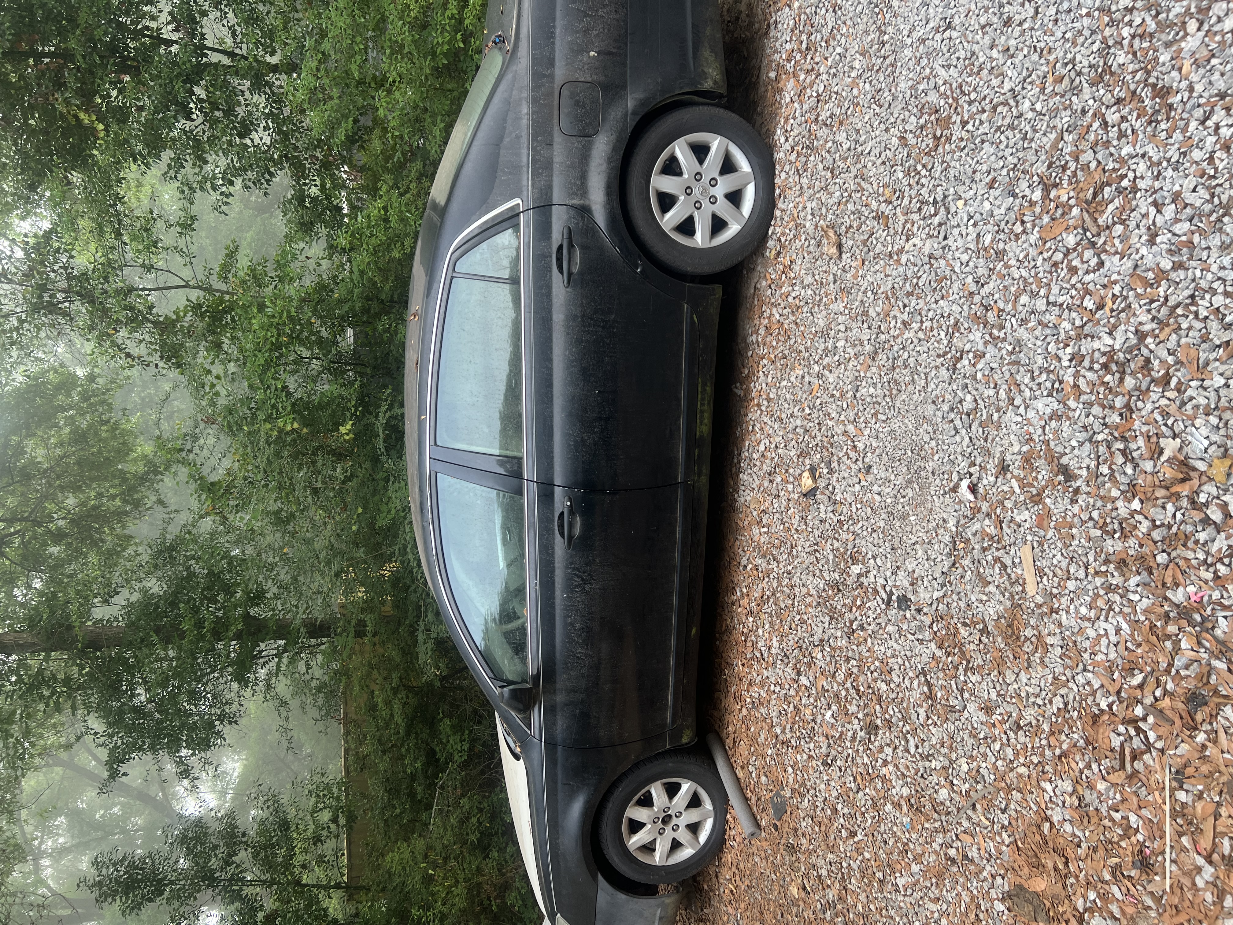 Used 2007 Toyota Avalon XL FWD image 5