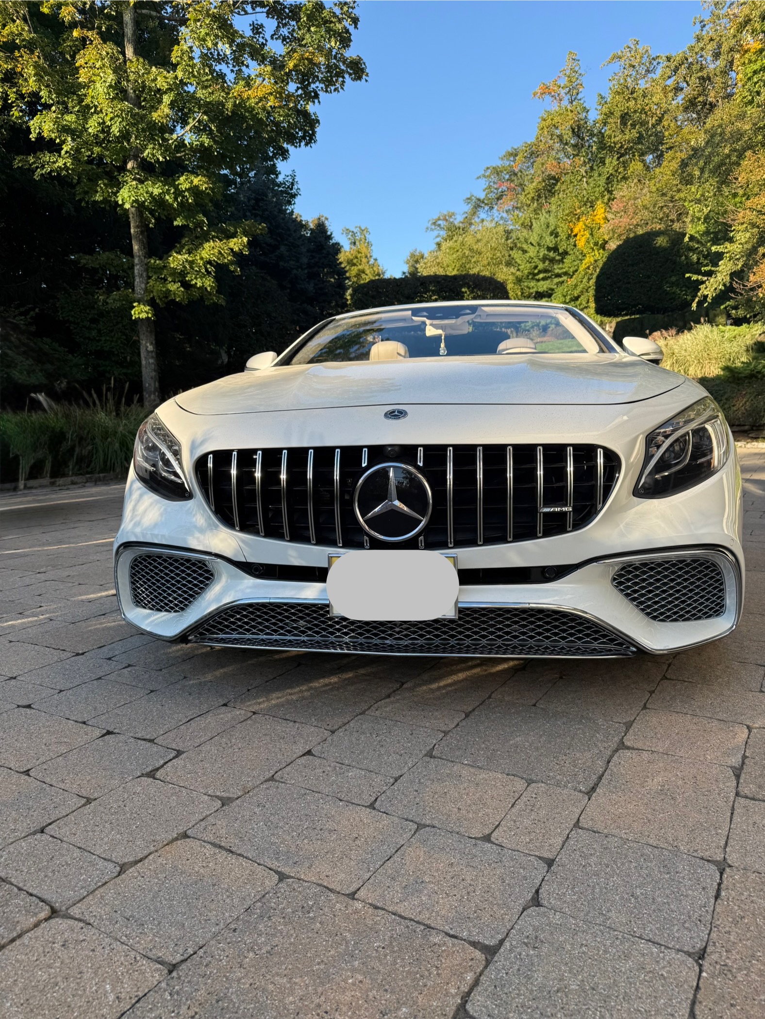 Used 2019 Mercedes-Benz S 63 AMG 4MATIC Cabriolet image 1