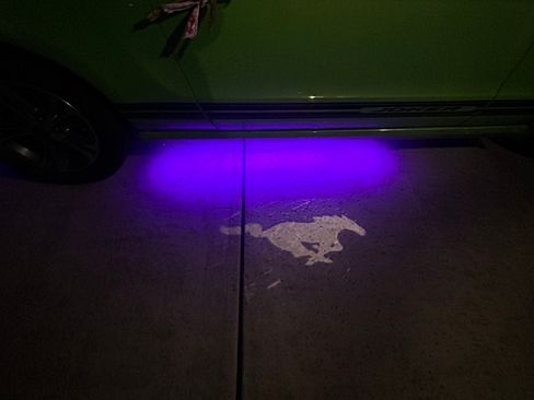 Used 2013 Ford Mustang Premium w/ Security Pkg image 17