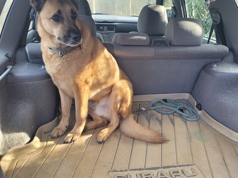 Used 2007 Subaru Forester 2.5X image 10