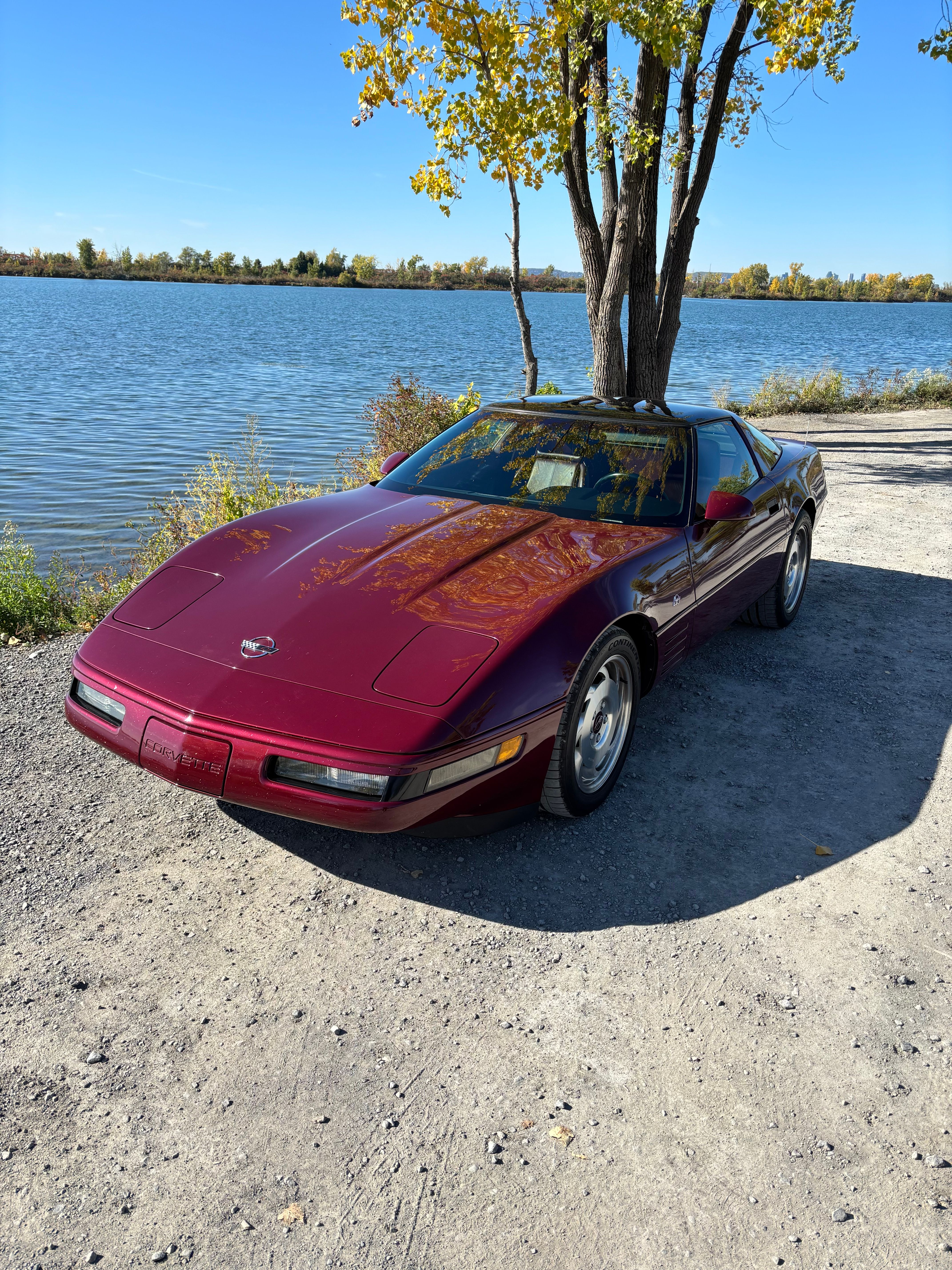 Used 1993 Chevrolet Corvette Coupe RWD image 2