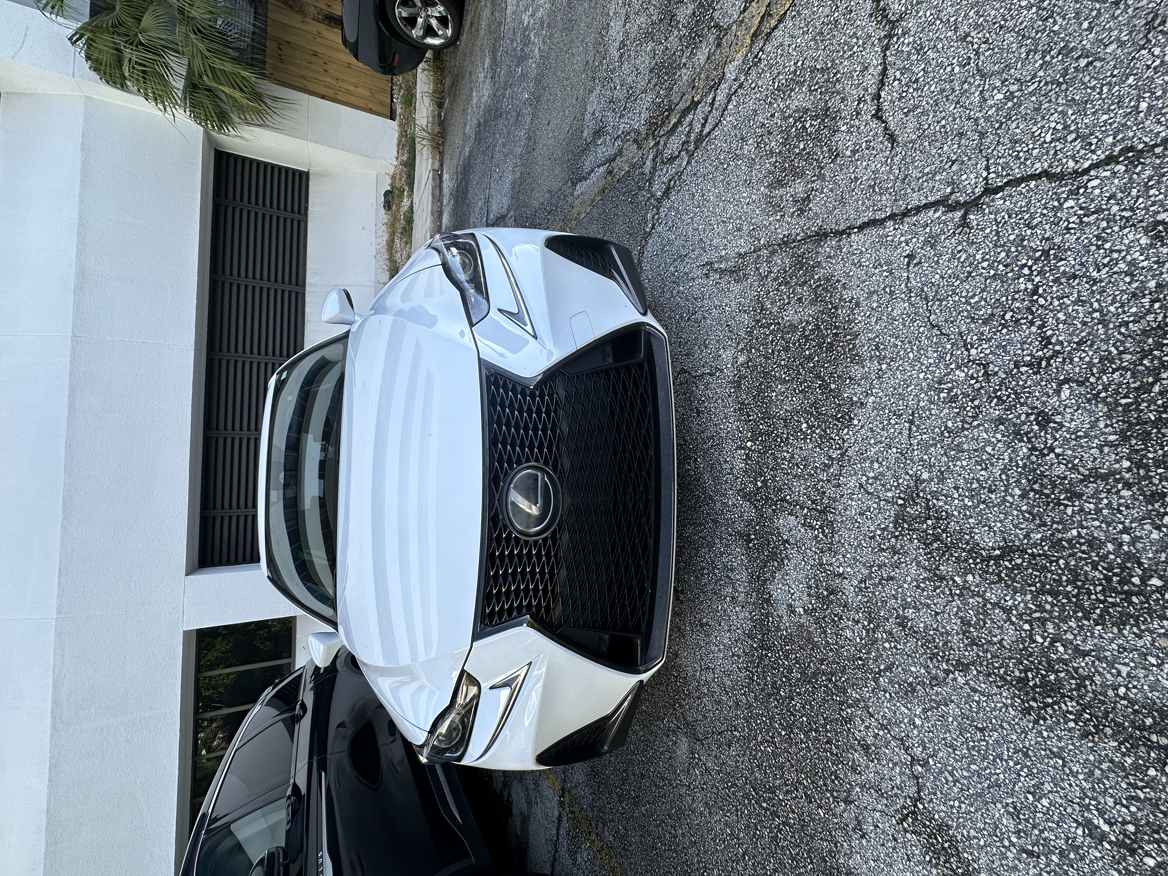 Used 2019 Lexus IS 300 F Sport w/ F Sport Package RWD image 1