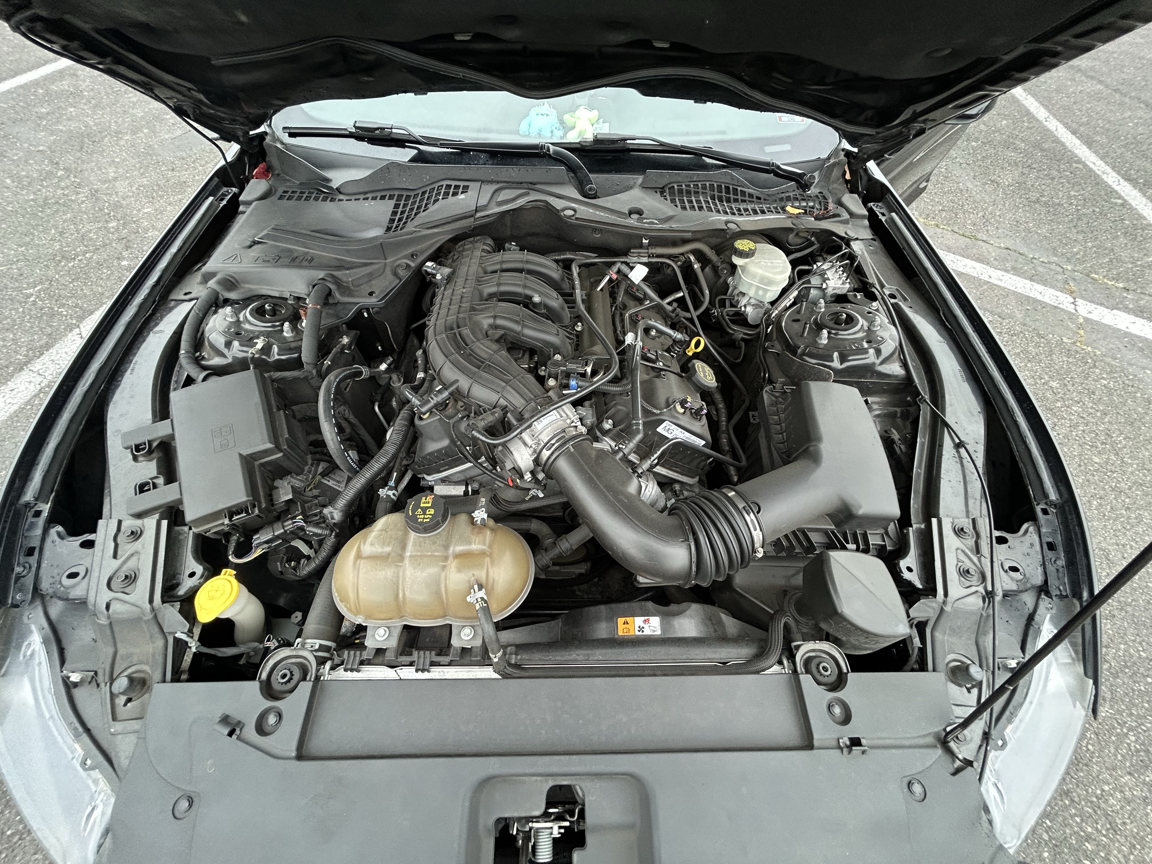 Used 2016 Ford Mustang Coupe RWD image 9