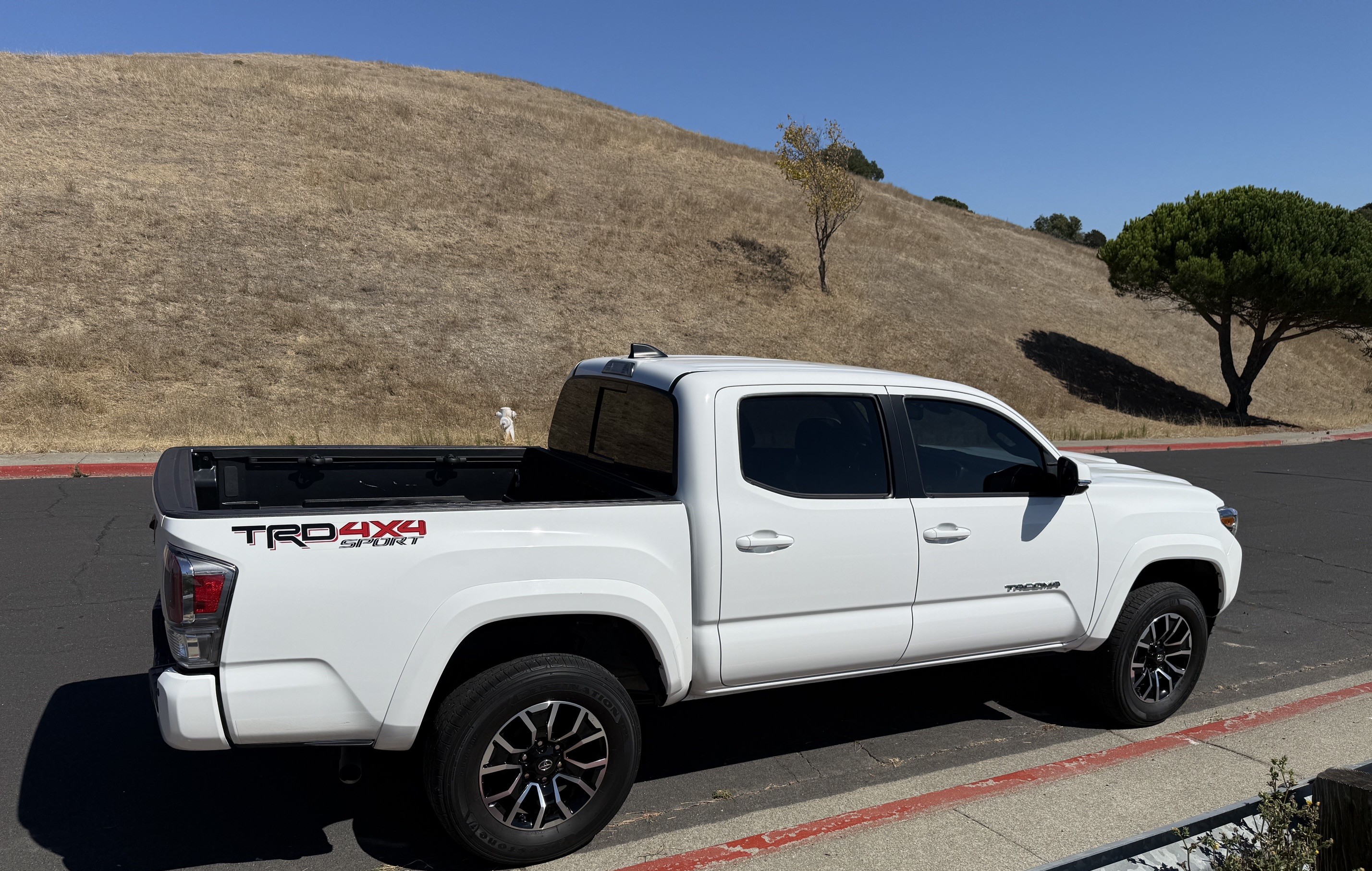 Used 2023 Toyota Tacoma TRD Sport w/ Advanced Technology Package AWD/4WD image 4
