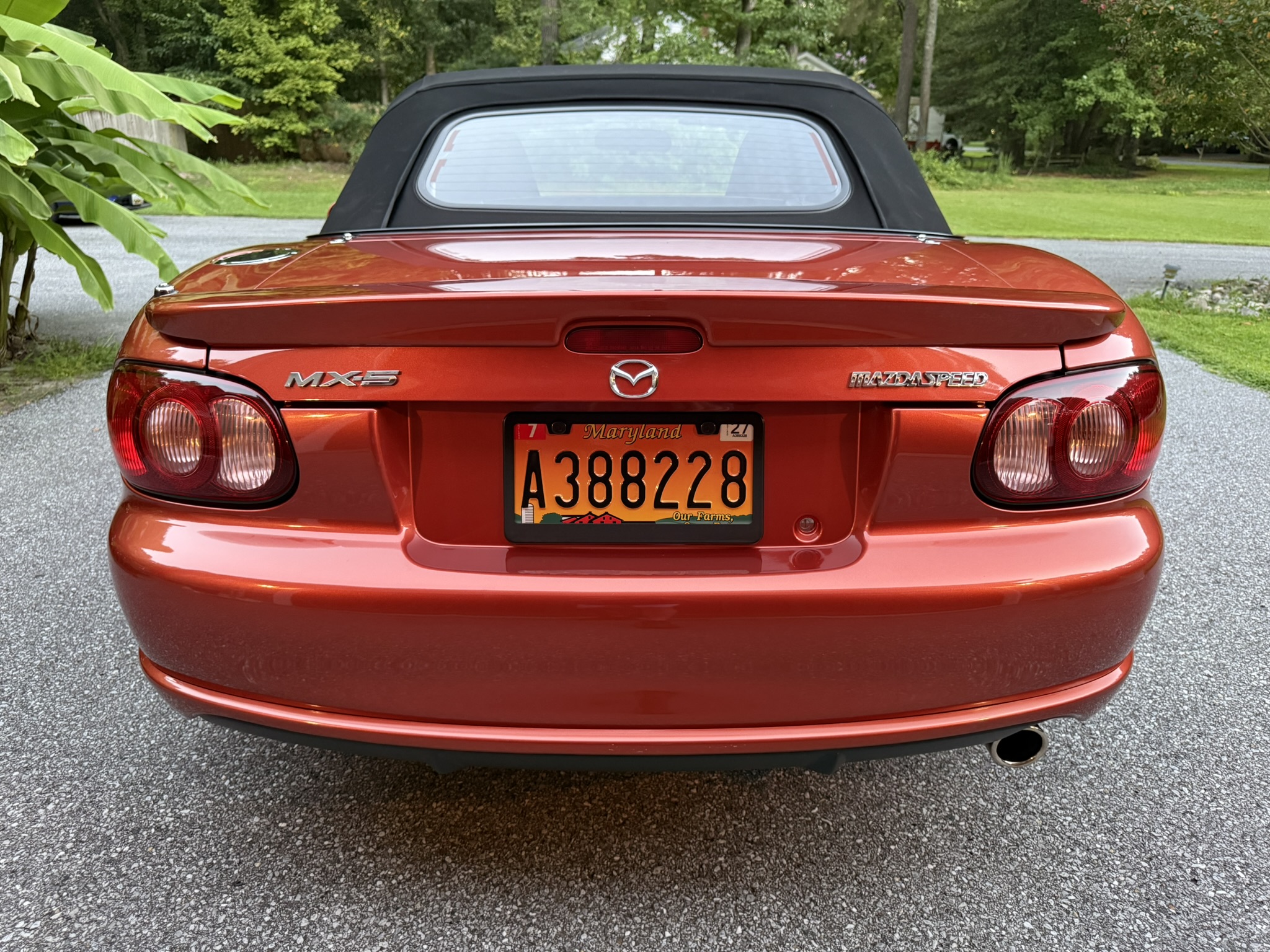 Used 2005 MAZDA MX-5 Miata MAZDASPEED RWD image 9