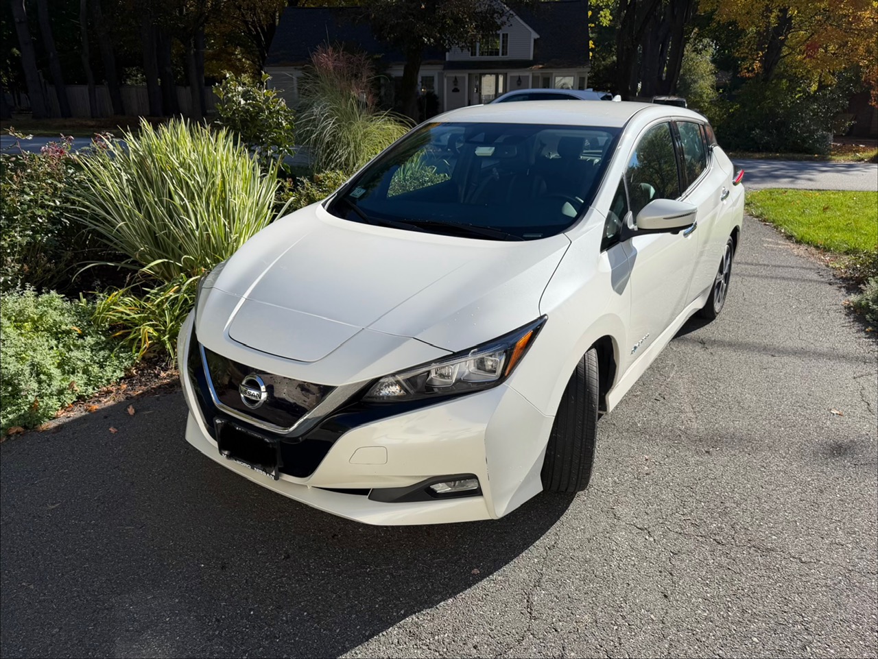 Used 2019 Nissan Leaf SL w/ SL Technology Package FWD image 1