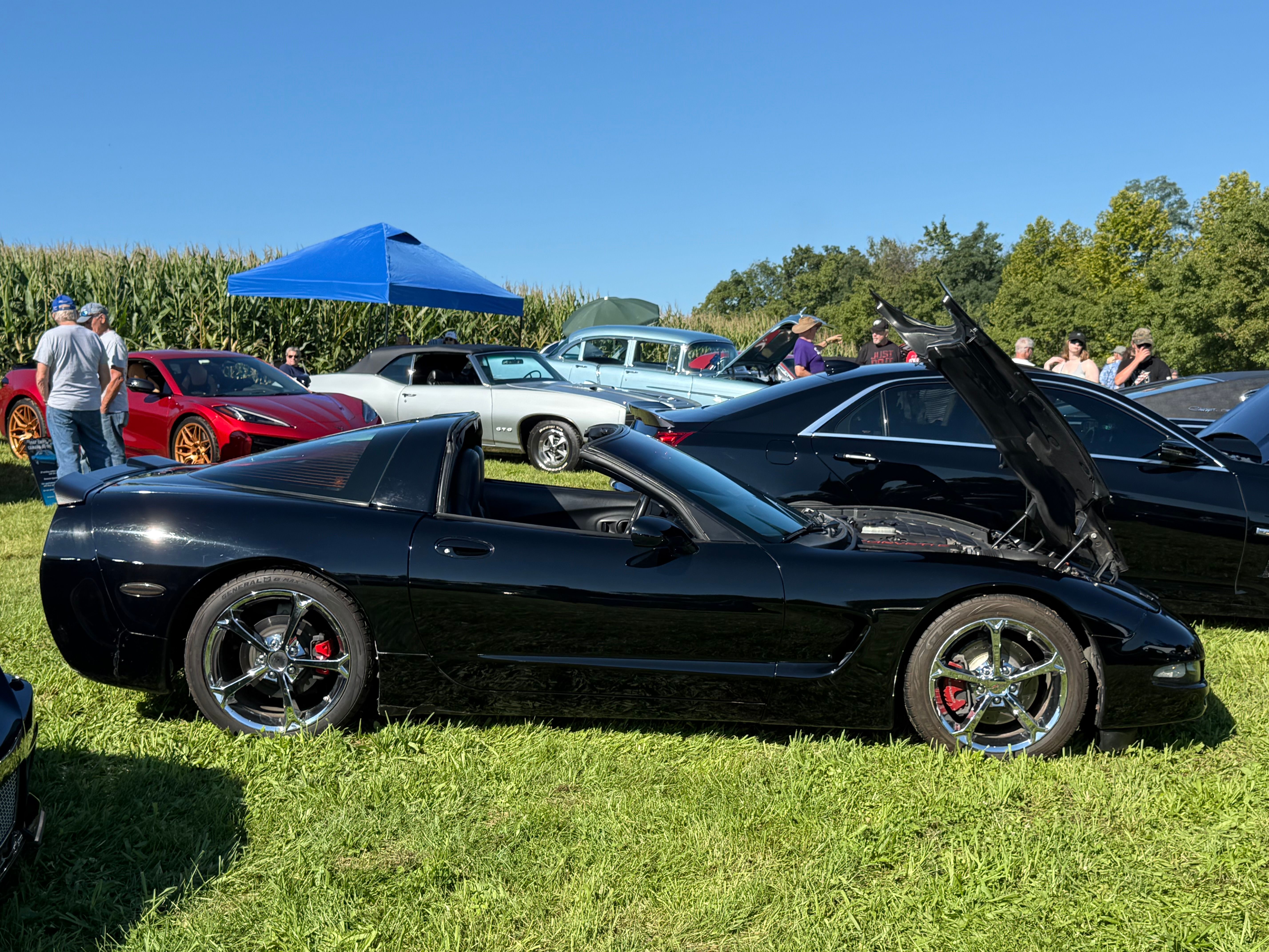 Used 1998 Chevrolet Corvette Coupe w/ Roof Pkg RWD image 2