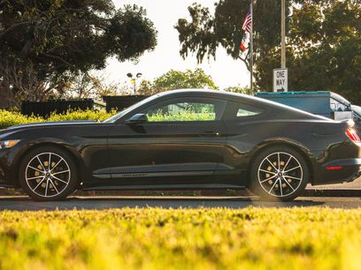 Used 2015 Ford Mustang Coupe w/ Wheel & Stripe Package