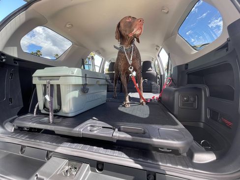 Used 2022 Toyota 4Runner Trail Special Edition image 12