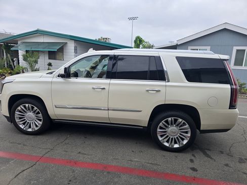 Used 2015 Cadillac Escalade Platinum image 4