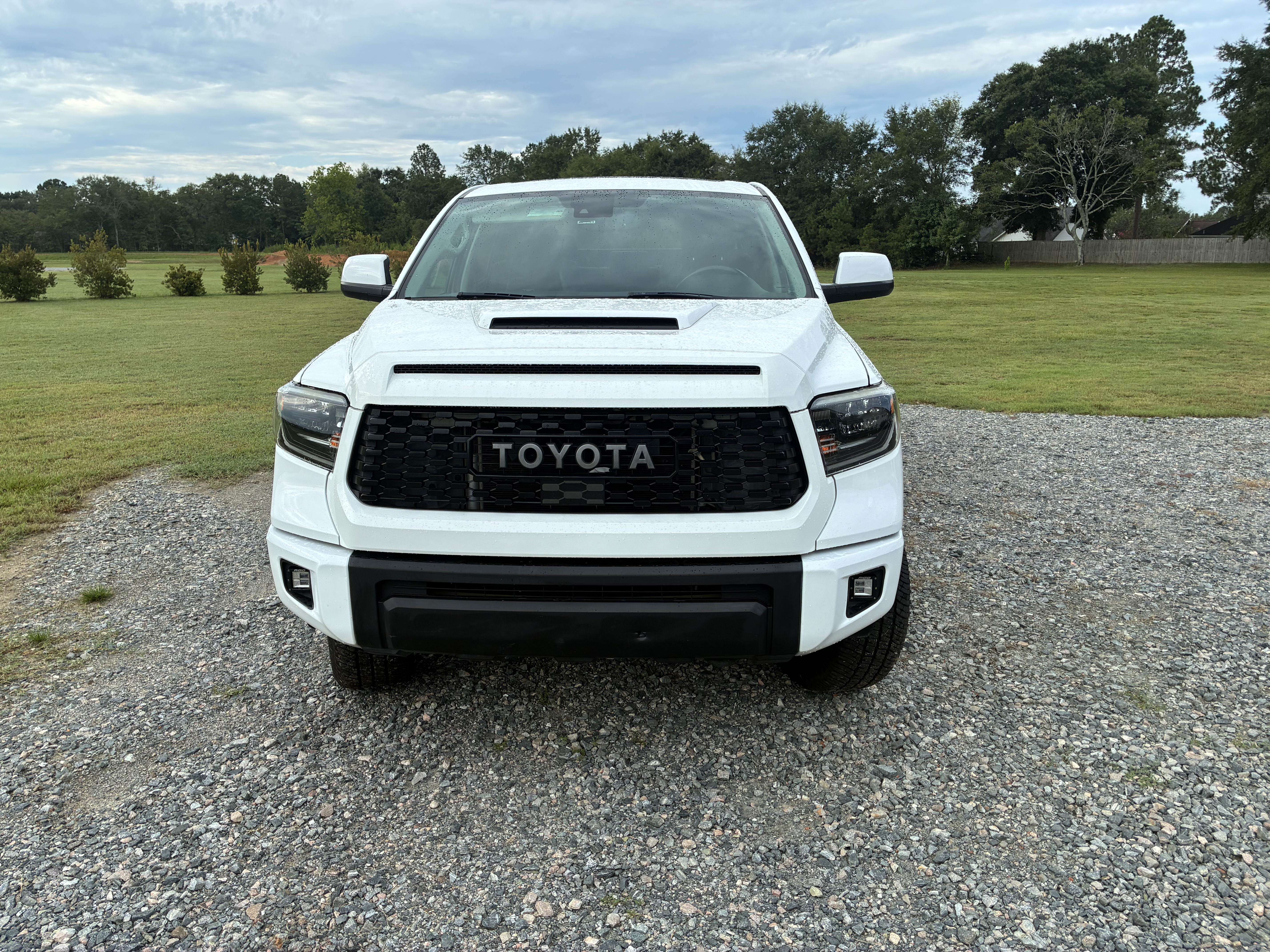 Used 2020 Toyota Tundra TRD Pro AWD/4WD image 2